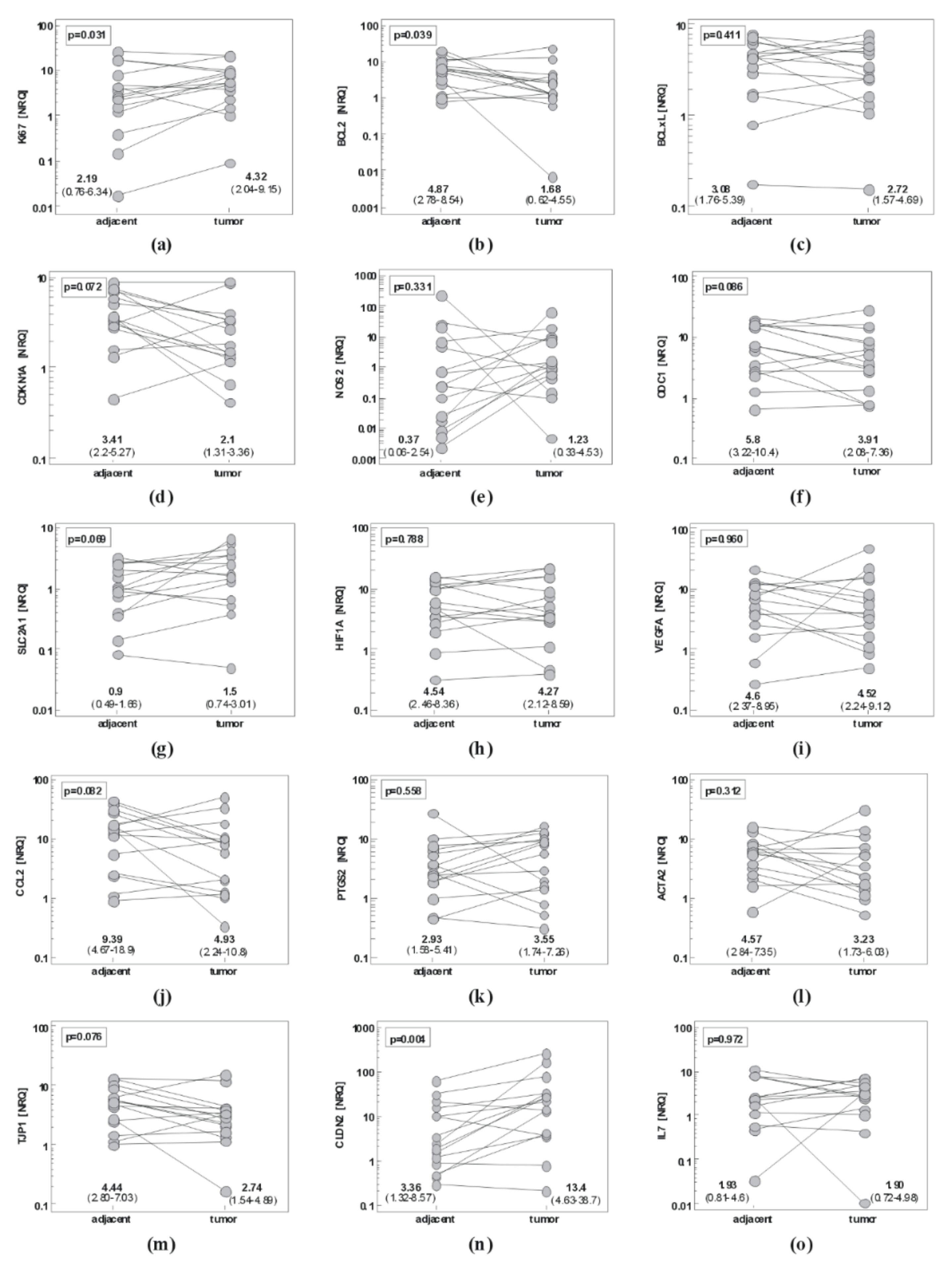 Ijms 21 04509 g001a Ijms 21 04509 g001a