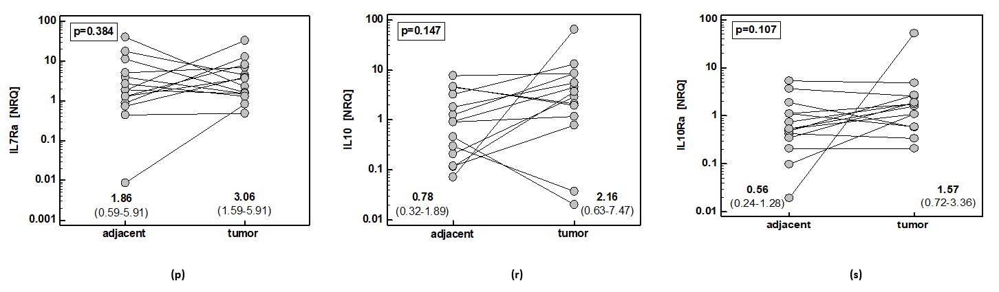 Ijms 21 04509 g001b Ijms 21 04509 g001b