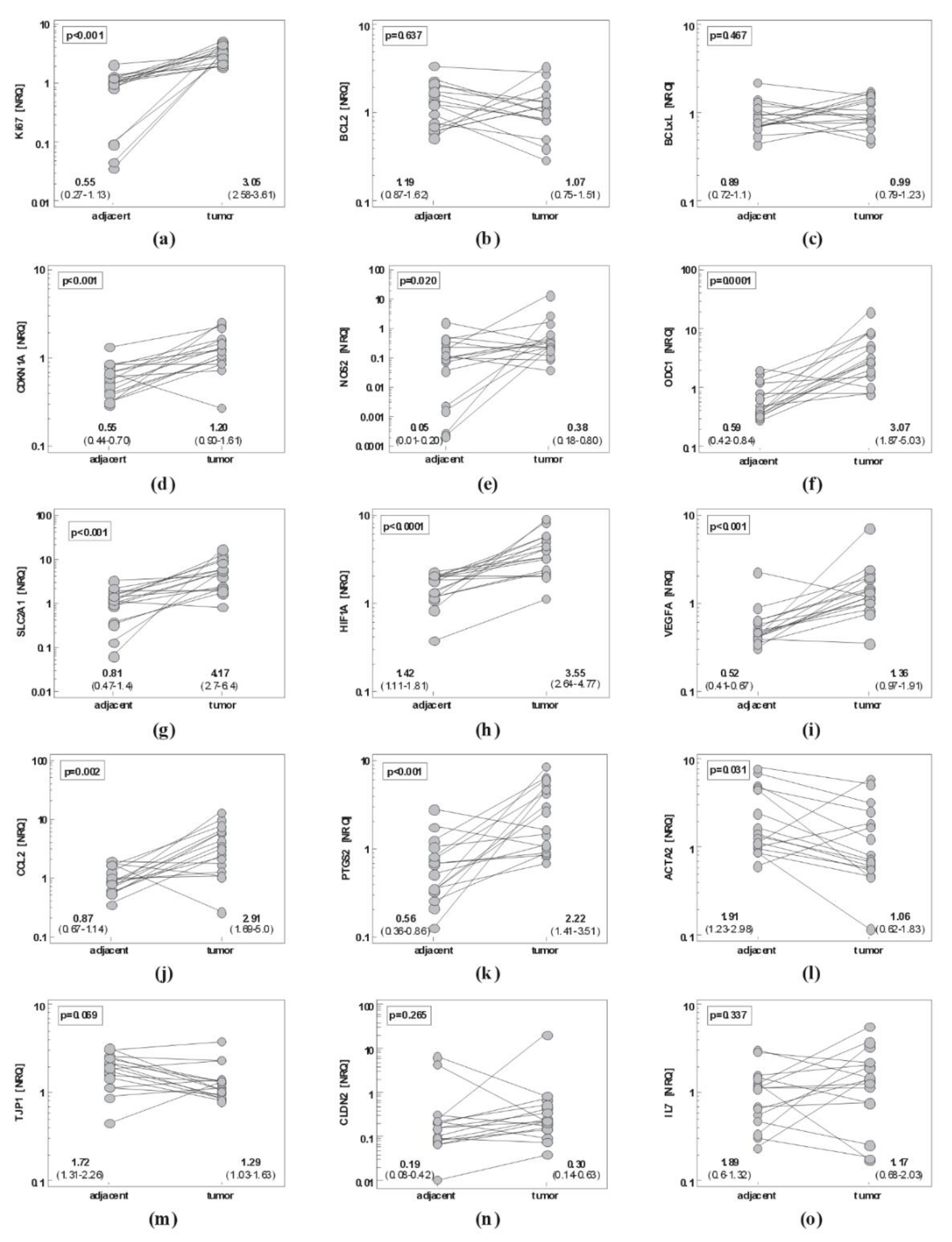 Ijms 21 04509 g002a Ijms 21 04509 g002a