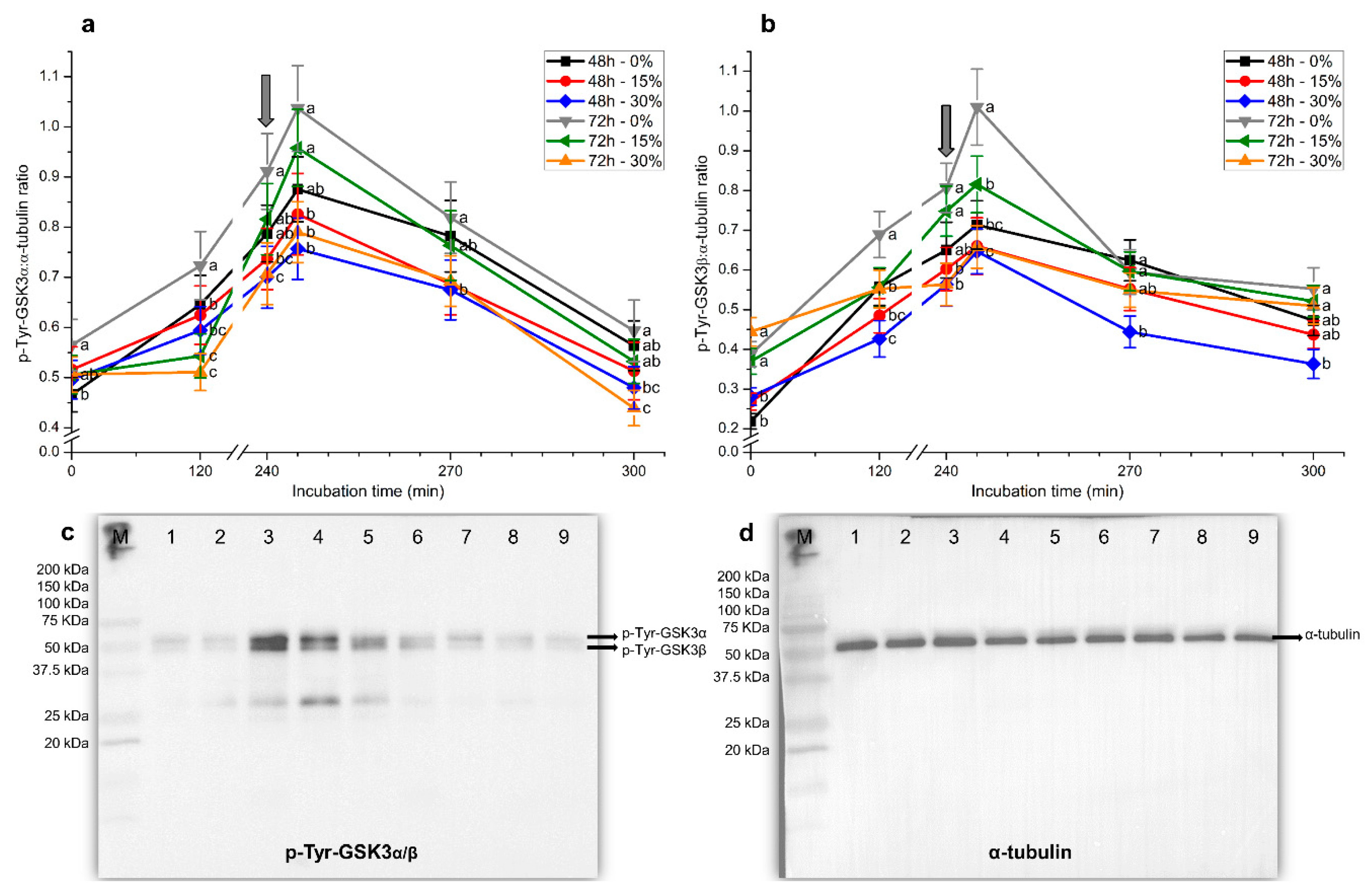 Ijms 21 04520 g008 Ijms 21 04520 g008
