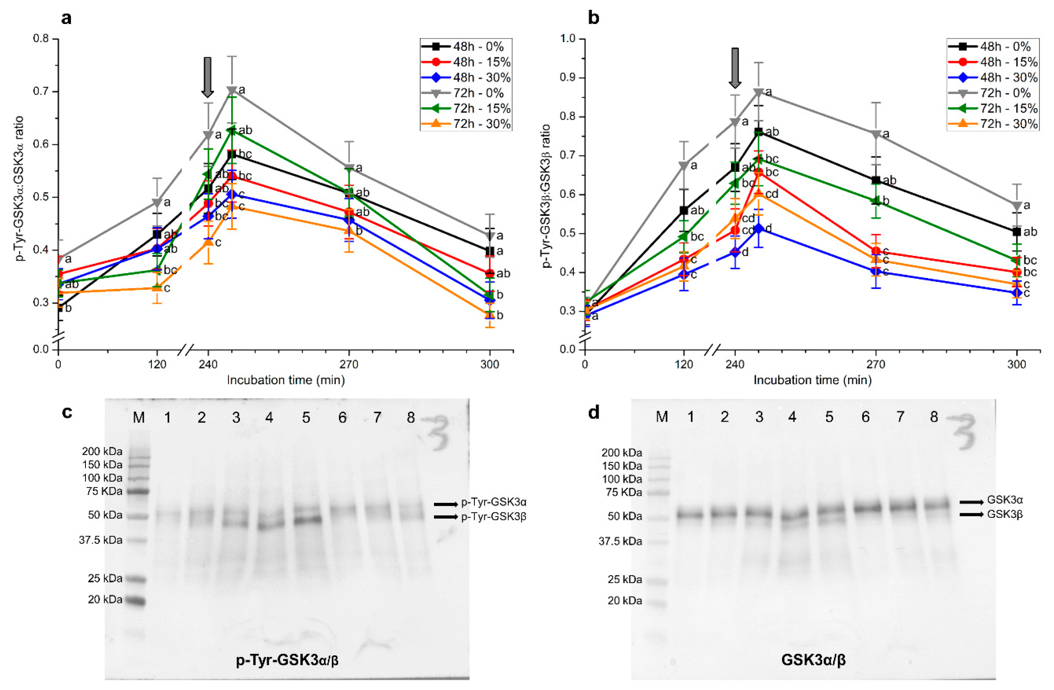 Ijms 21 04520 g009 Ijms 21 04520 g009