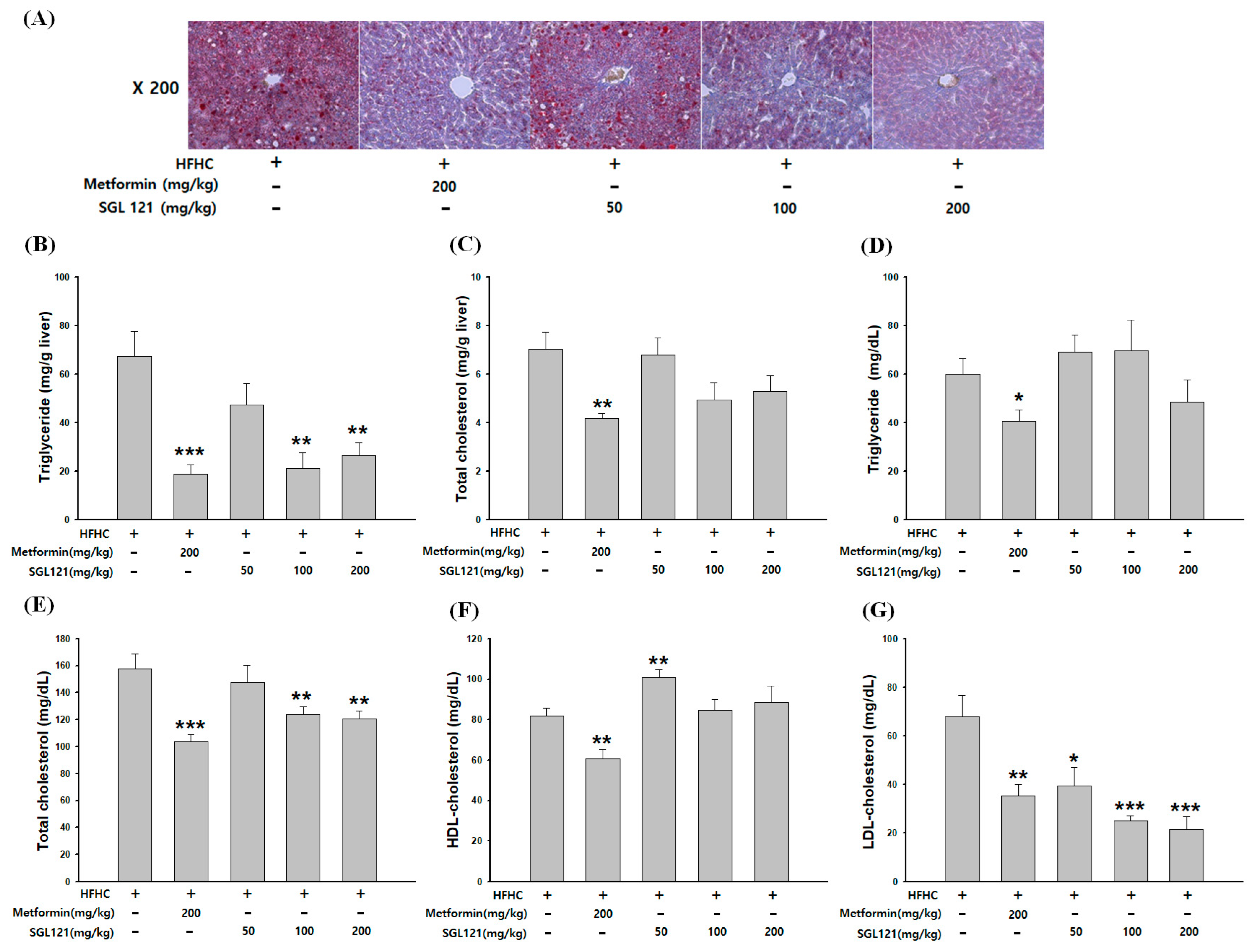 Ijms 21 04534 g002 Ijms 21 04534 g002