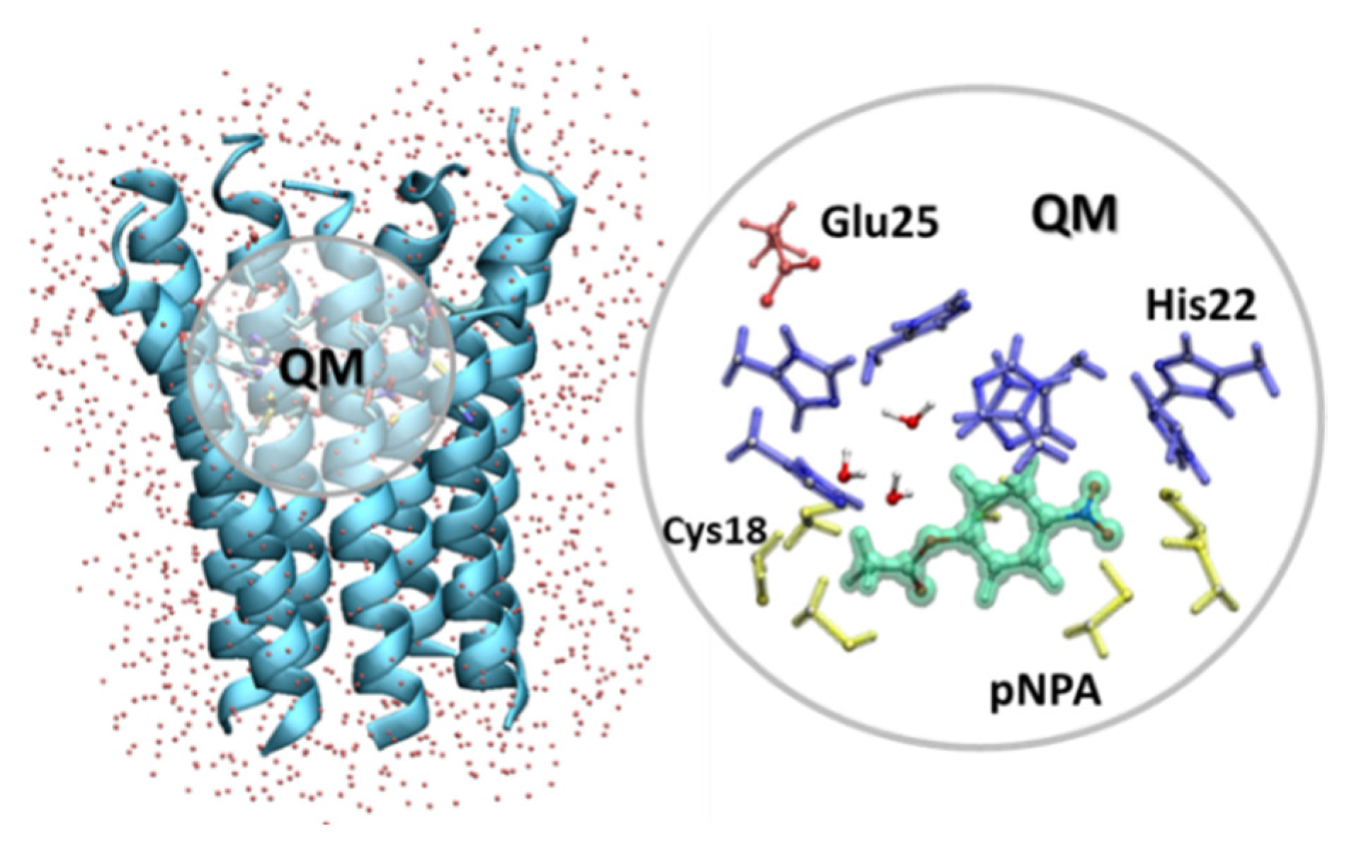 Ijms 21 04551 g004 Ijms 21 04551 g004