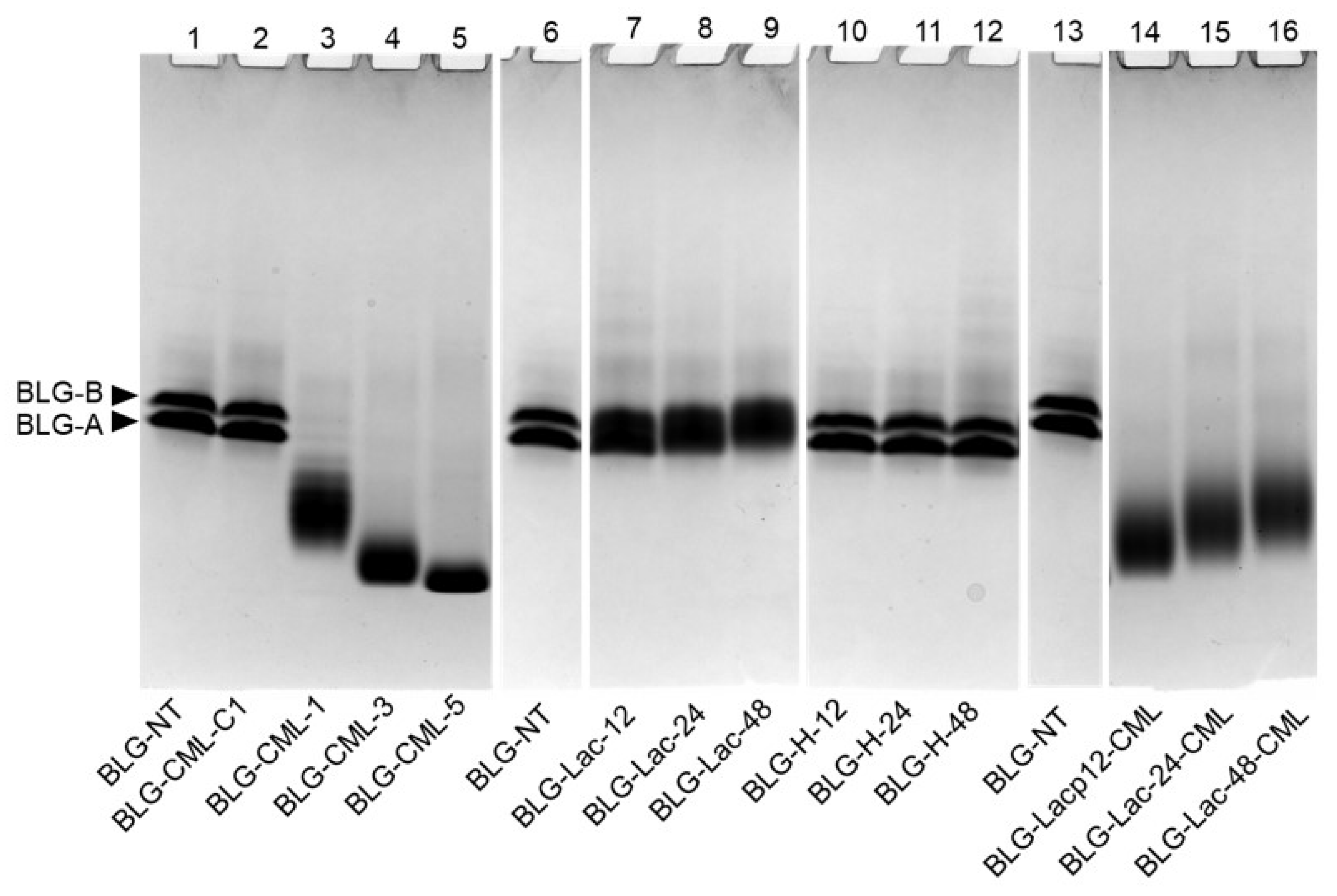 Ijms 21 04567 g004 Ijms 21 04567 g004