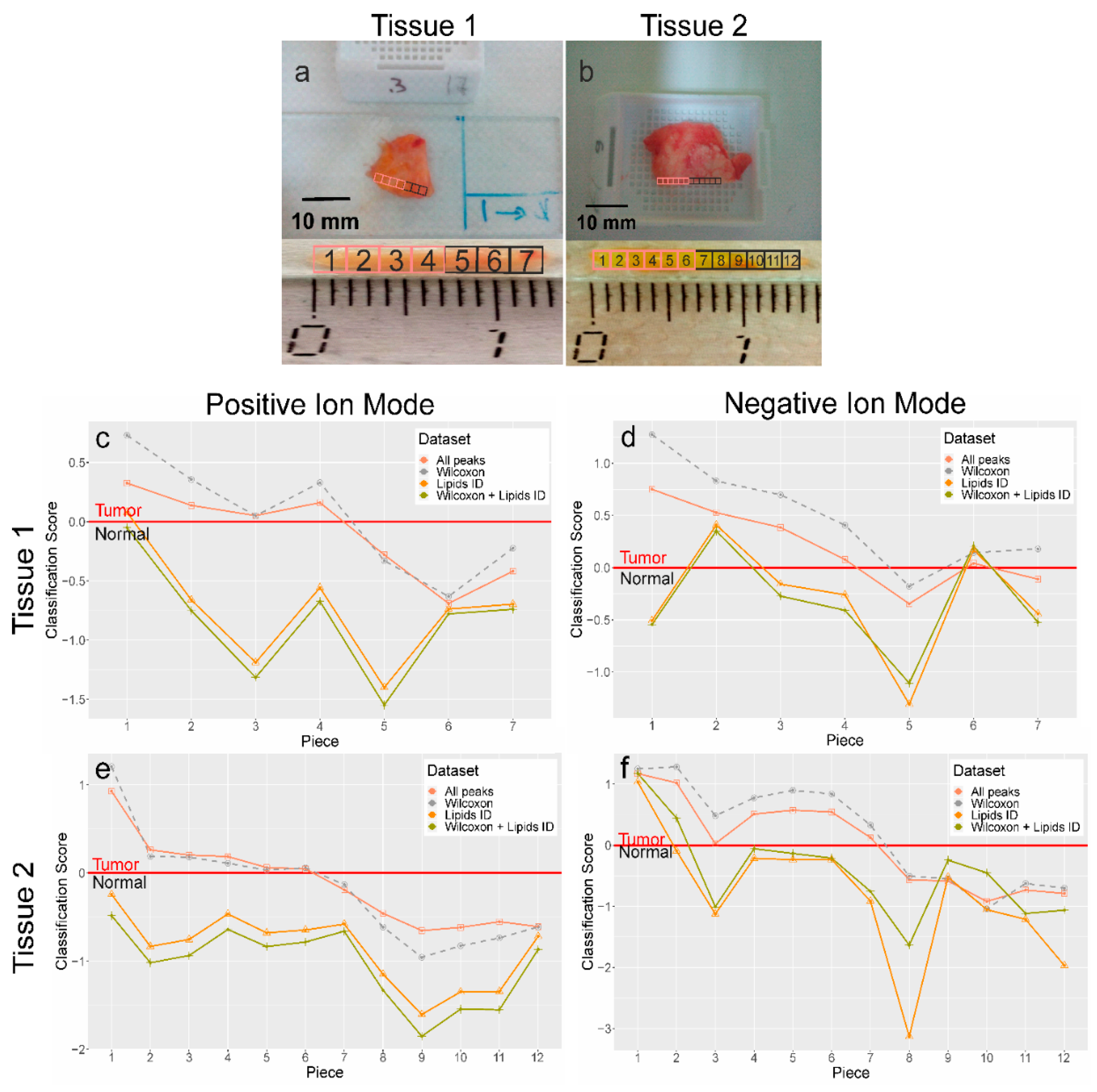 Ijms 21 04568 g003 Ijms 21 04568 g003