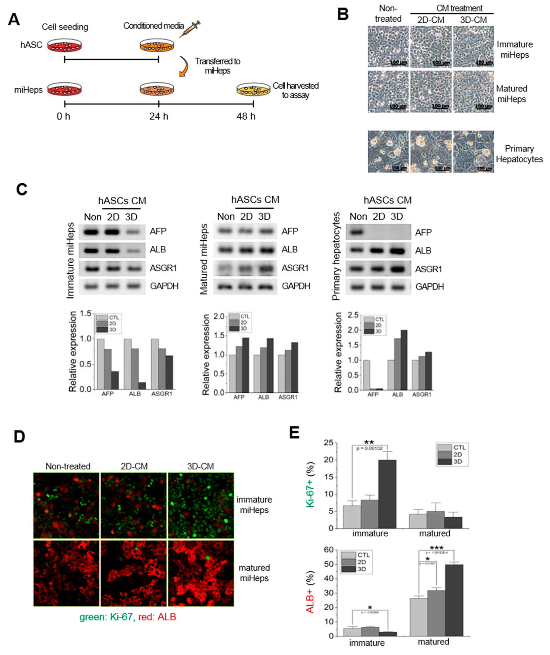 Ijms 21 04605 g004 Ijms 21 04605 g004