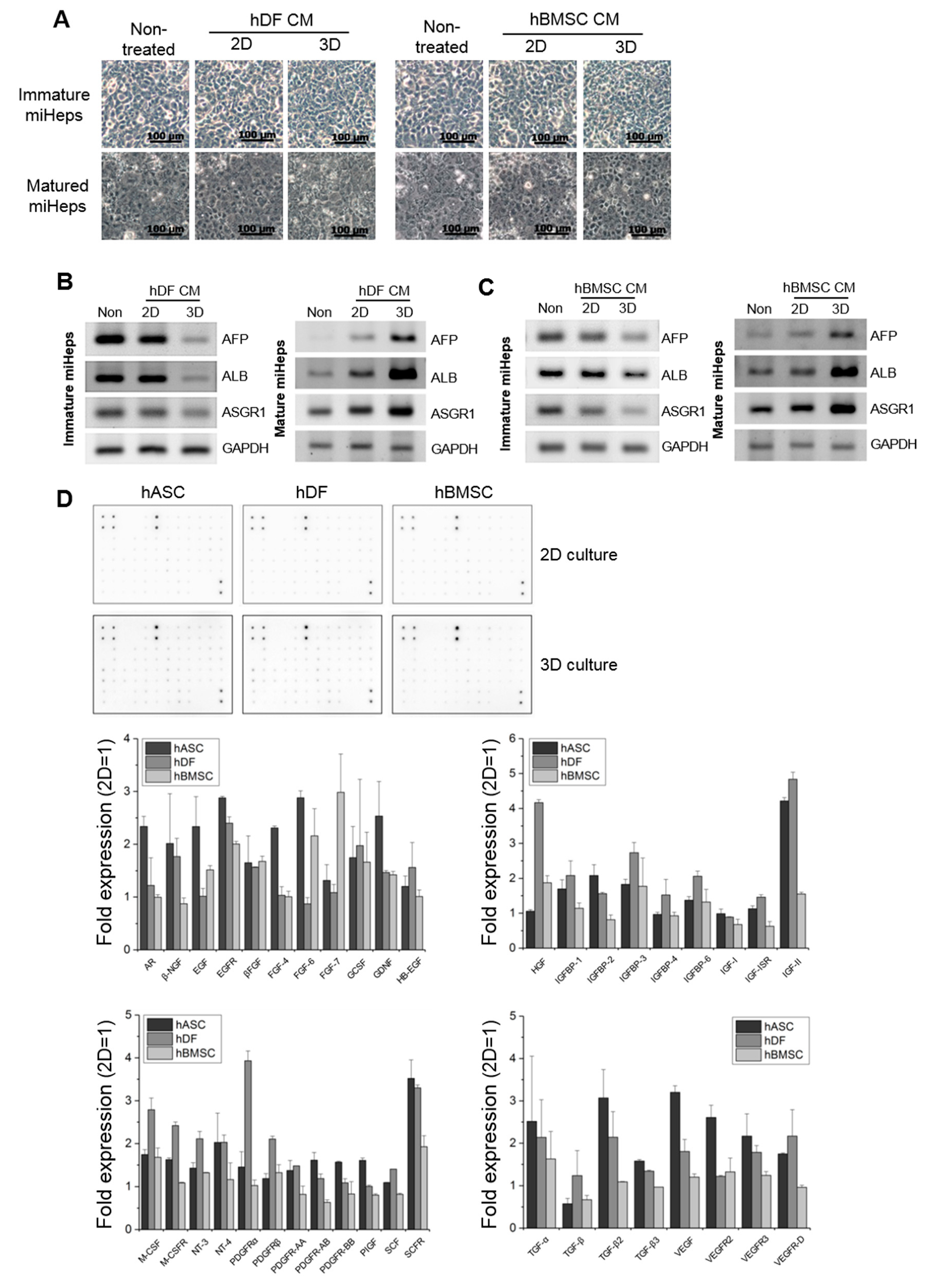 Ijms 21 04605 g005 Ijms 21 04605 g005