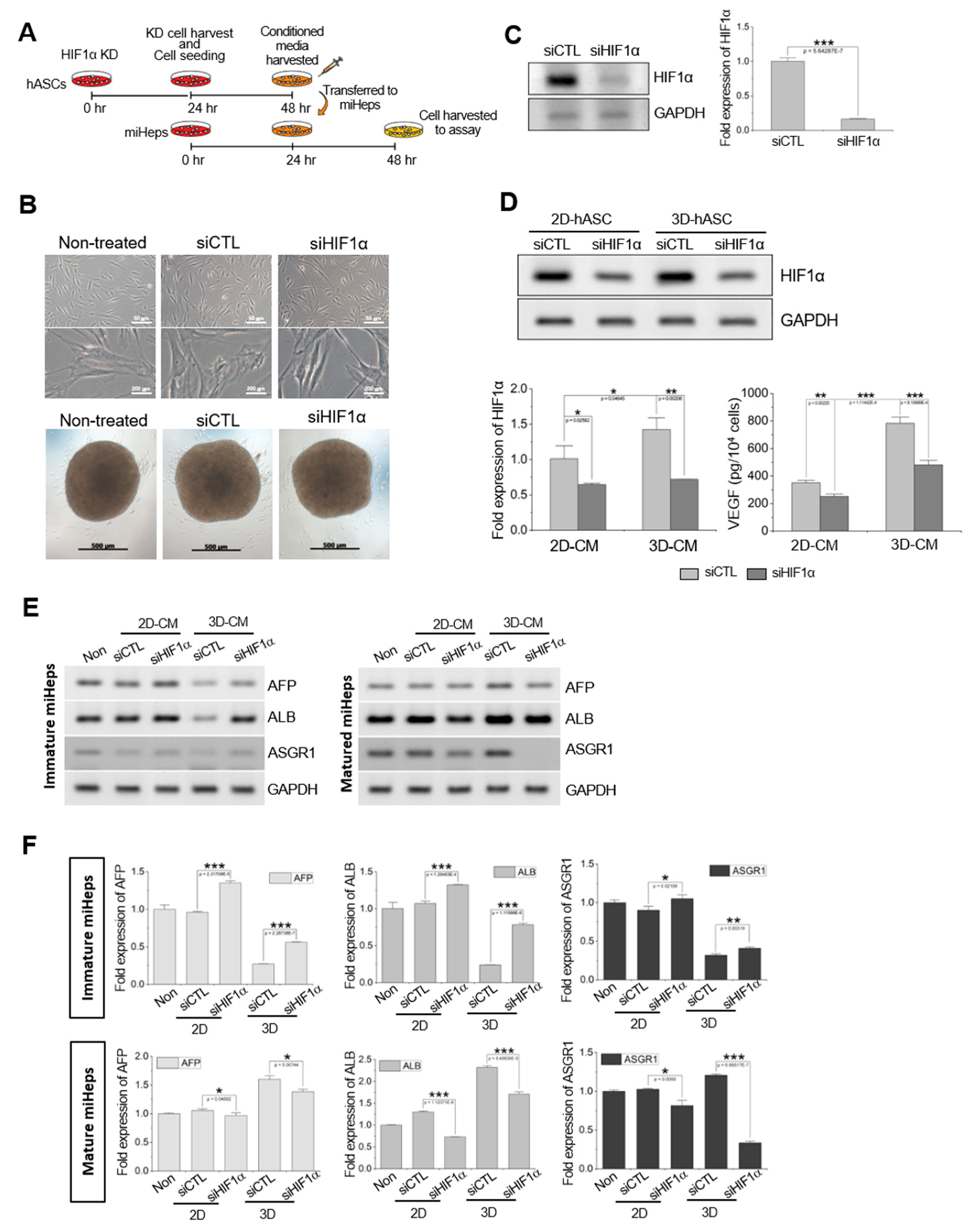 Ijms 21 04605 g006 Ijms 21 04605 g006