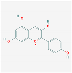 Ijms 21 04639 i004 Ijms 21 04639 i004