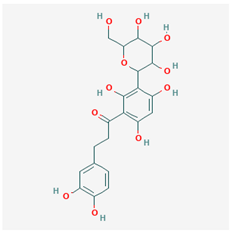 Ijms 21 04639 i005 Ijms 21 04639 i005