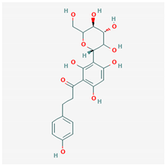 Ijms 21 04639 i006 Ijms 21 04639 i006