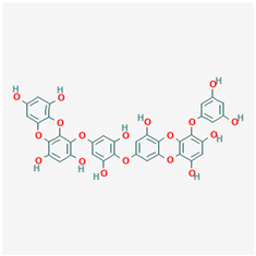 Ijms 21 04639 i011 Ijms 21 04639 i011