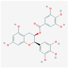 Ijms 21 04639 i017 Ijms 21 04639 i017