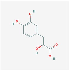 Ijms 21 04639 i027 Ijms 21 04639 i027