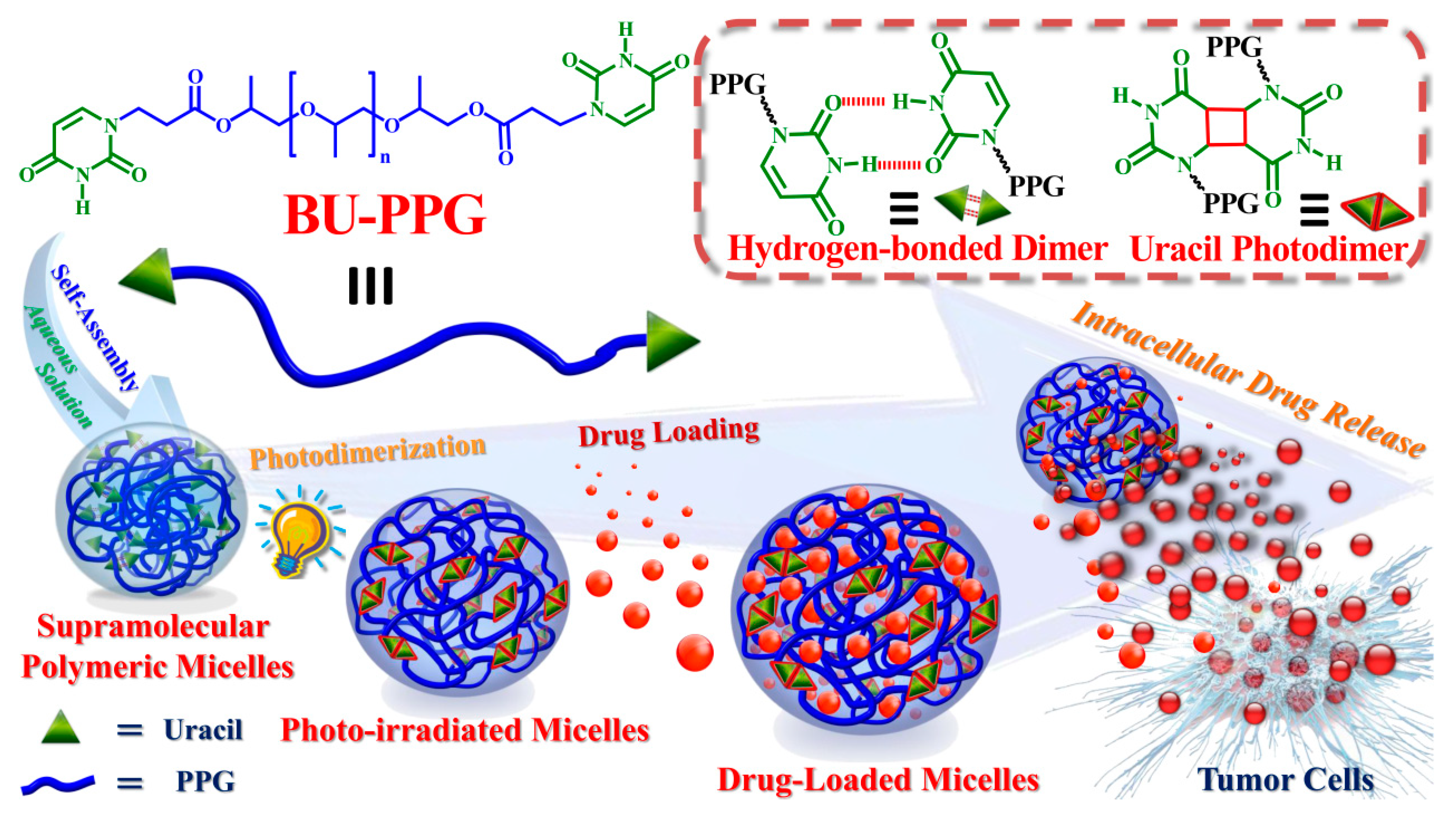 Ijms 21 04677 sch001