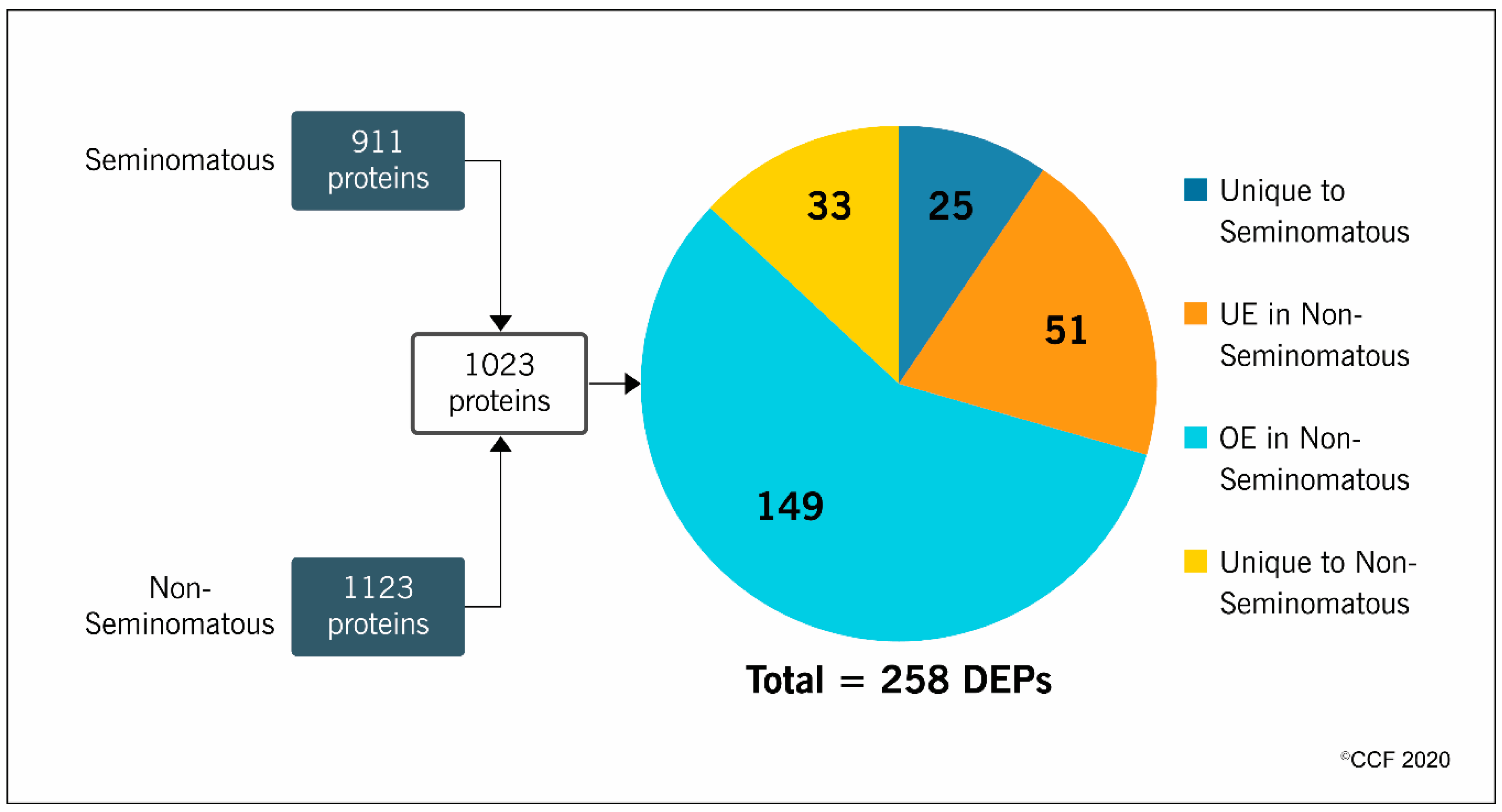 Ijms 21 04817 g001 Ijms 21 04817 g001