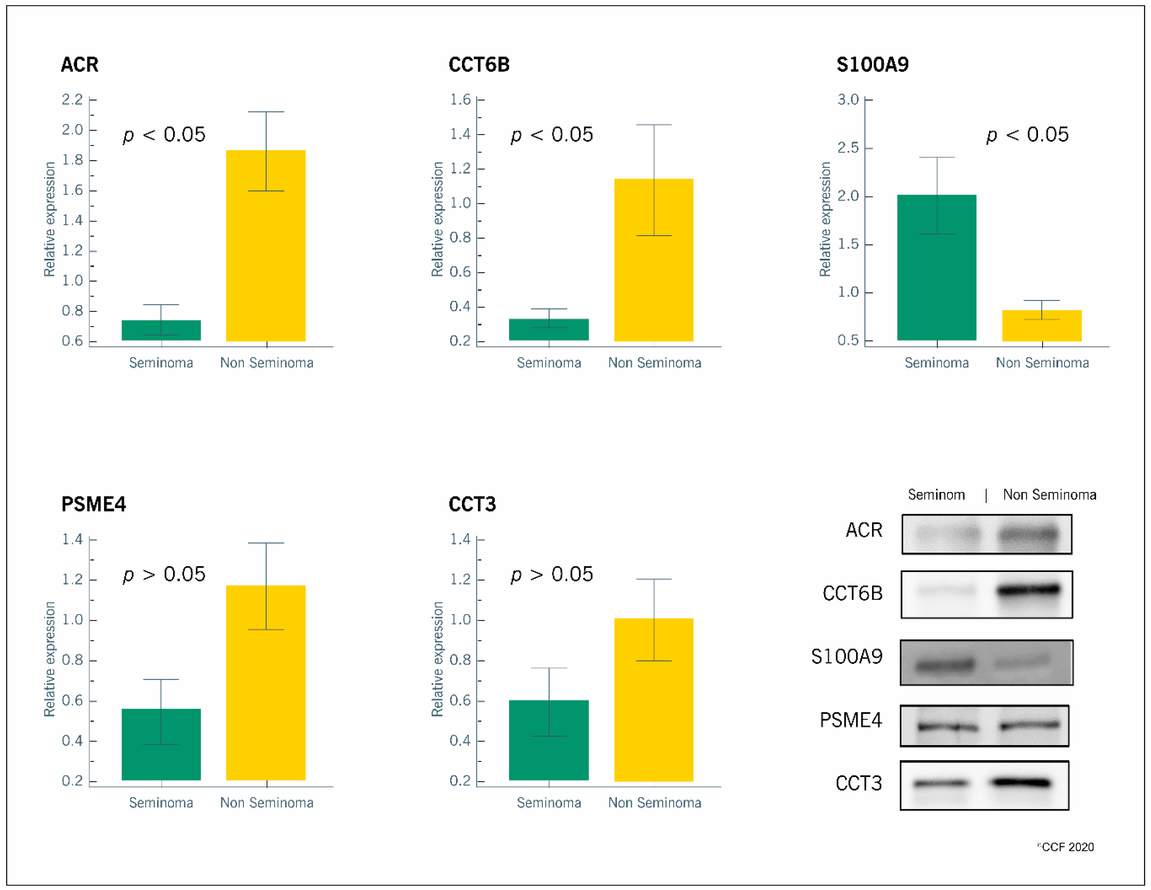 Ijms 21 04817 g002 Ijms 21 04817 g002
