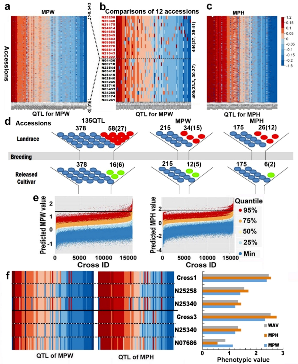 Ijms 21 04830 g002 Ijms 21 04830 g002