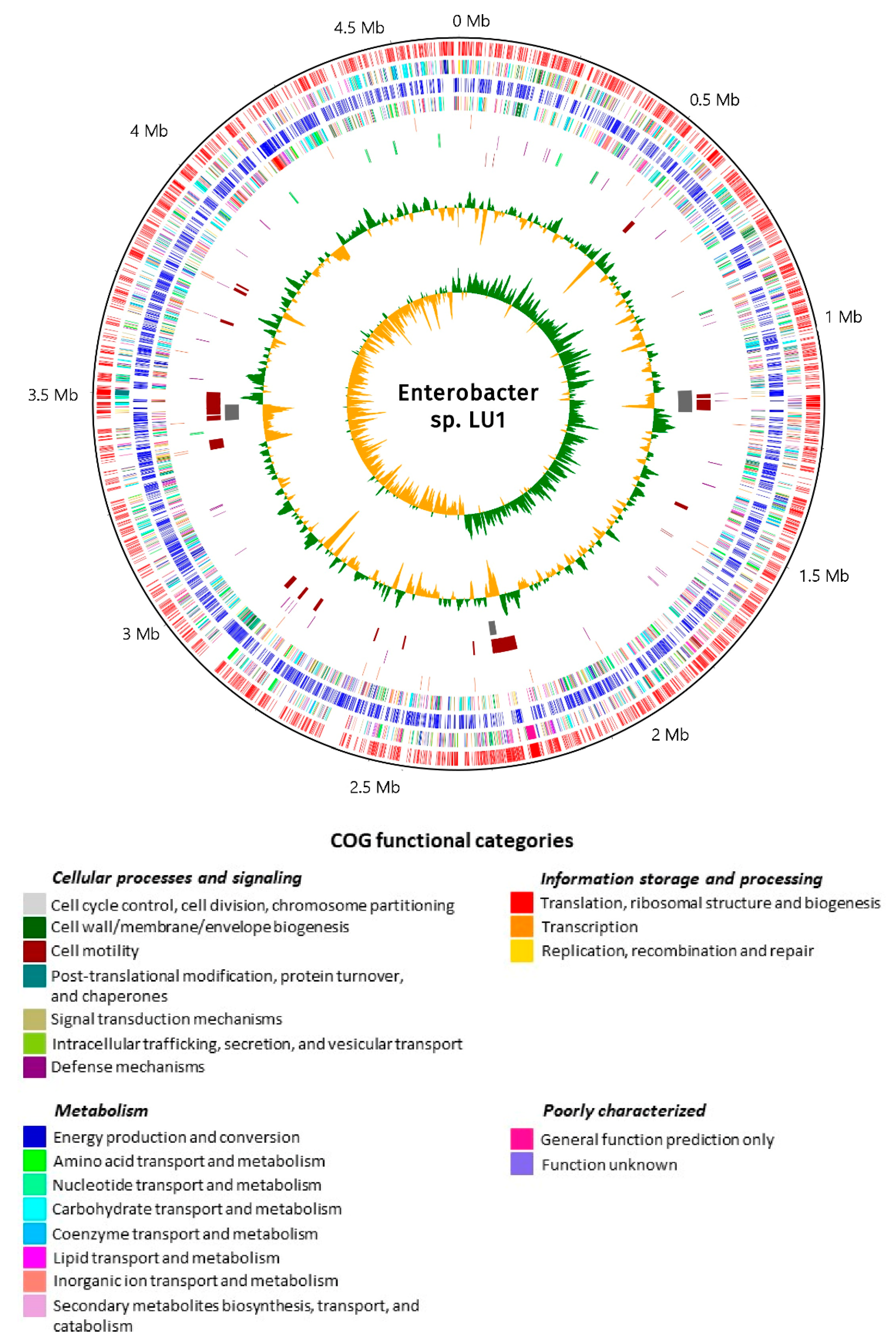 Ijms 21 04835 g002 Ijms 21 04835 g002