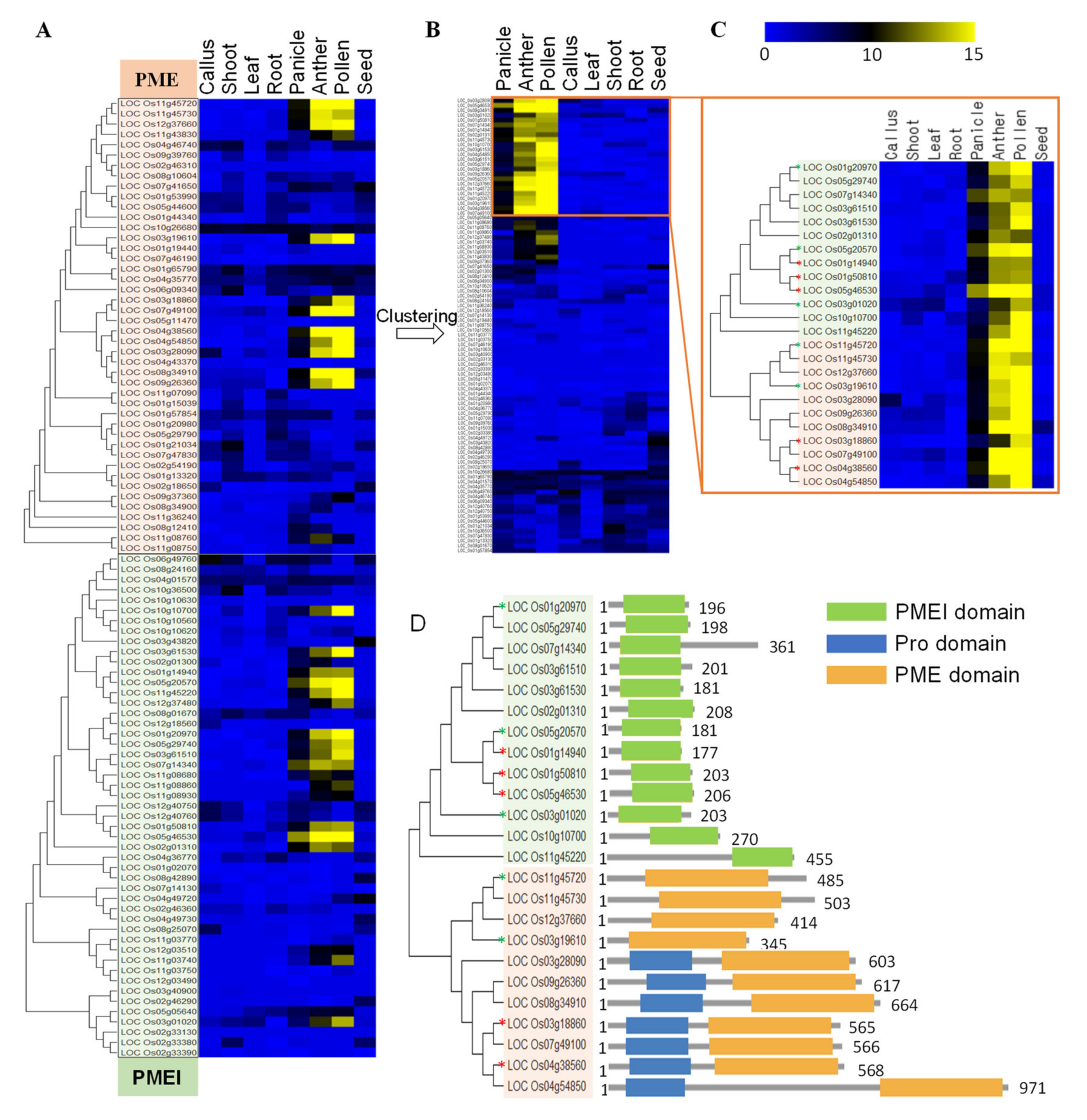 Ijms 21 04840 g004 Ijms 21 04840 g004