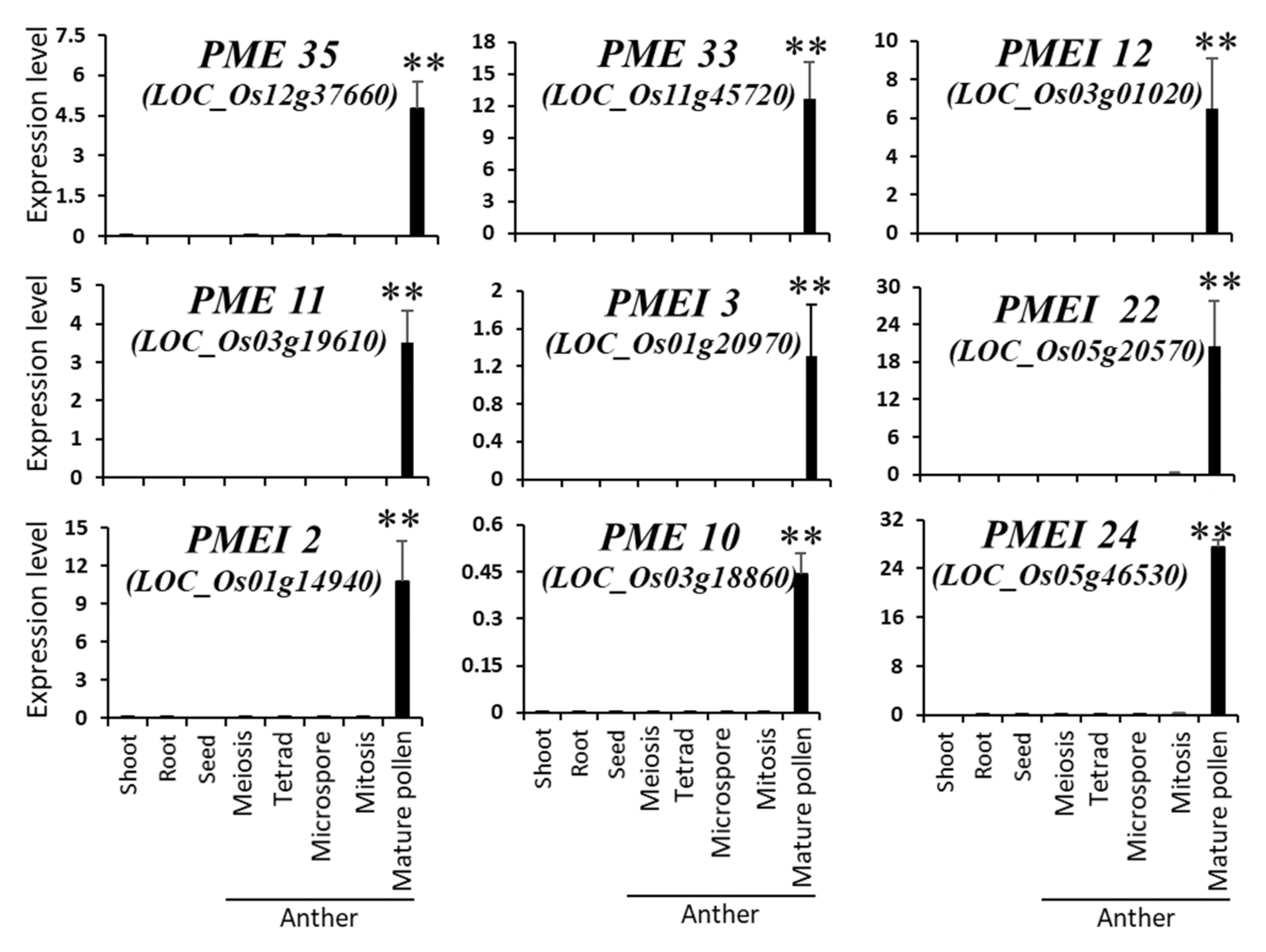 Ijms 21 04840 g005 Ijms 21 04840 g005