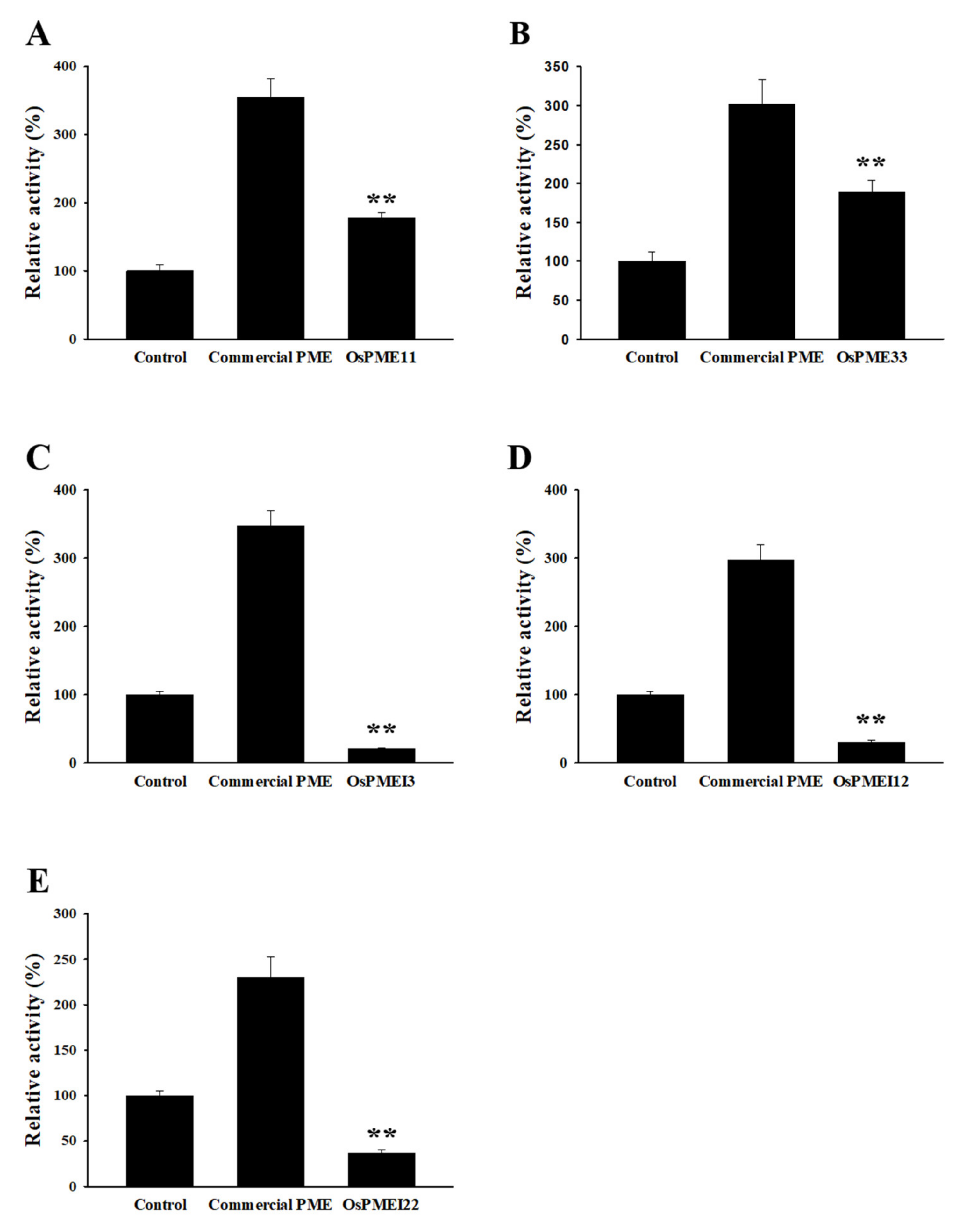 Ijms 21 04840 g006 Ijms 21 04840 g006