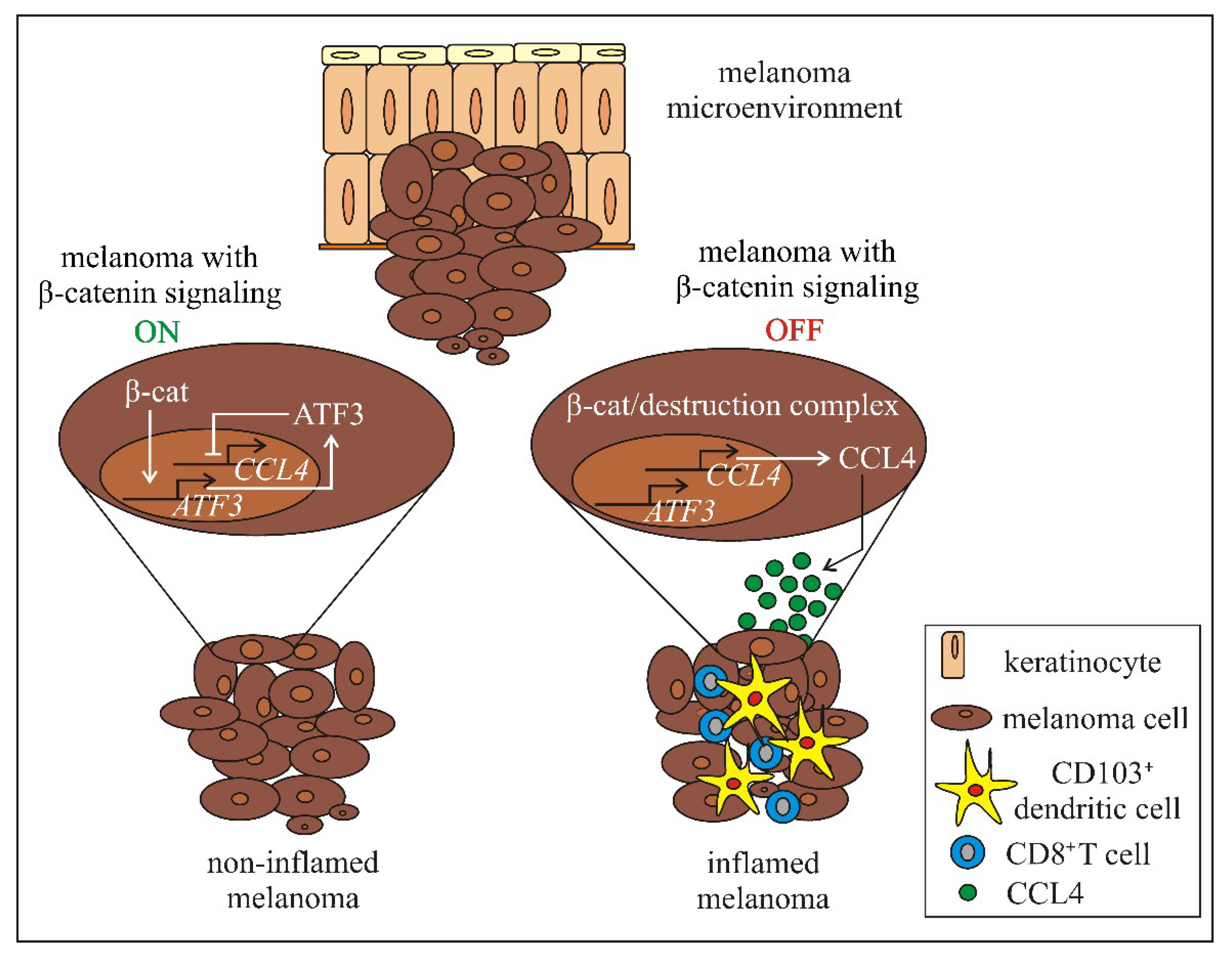 Ijms 21 04852 g005 Ijms 21 04852 g005