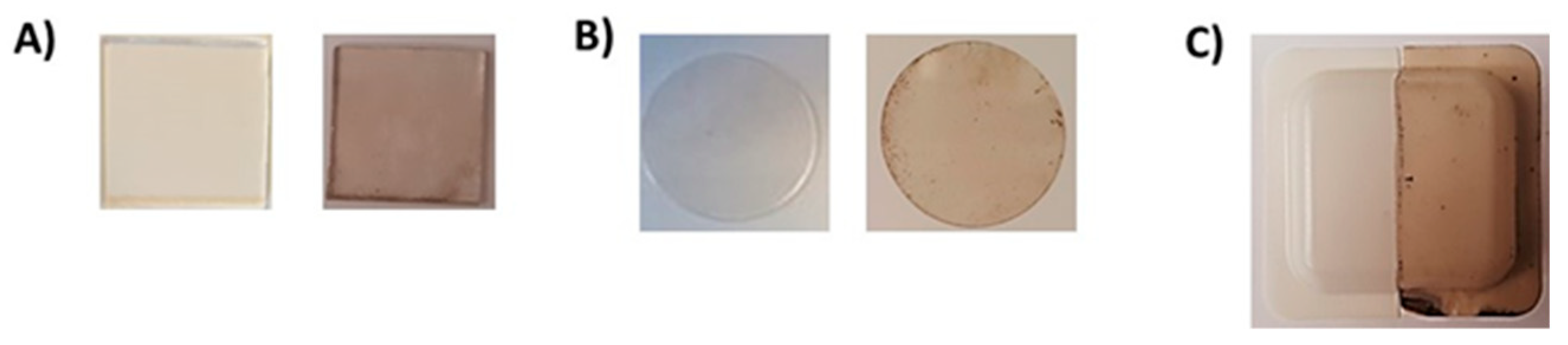 Ijms 21 04873 g001 Ijms 21 04873 g001