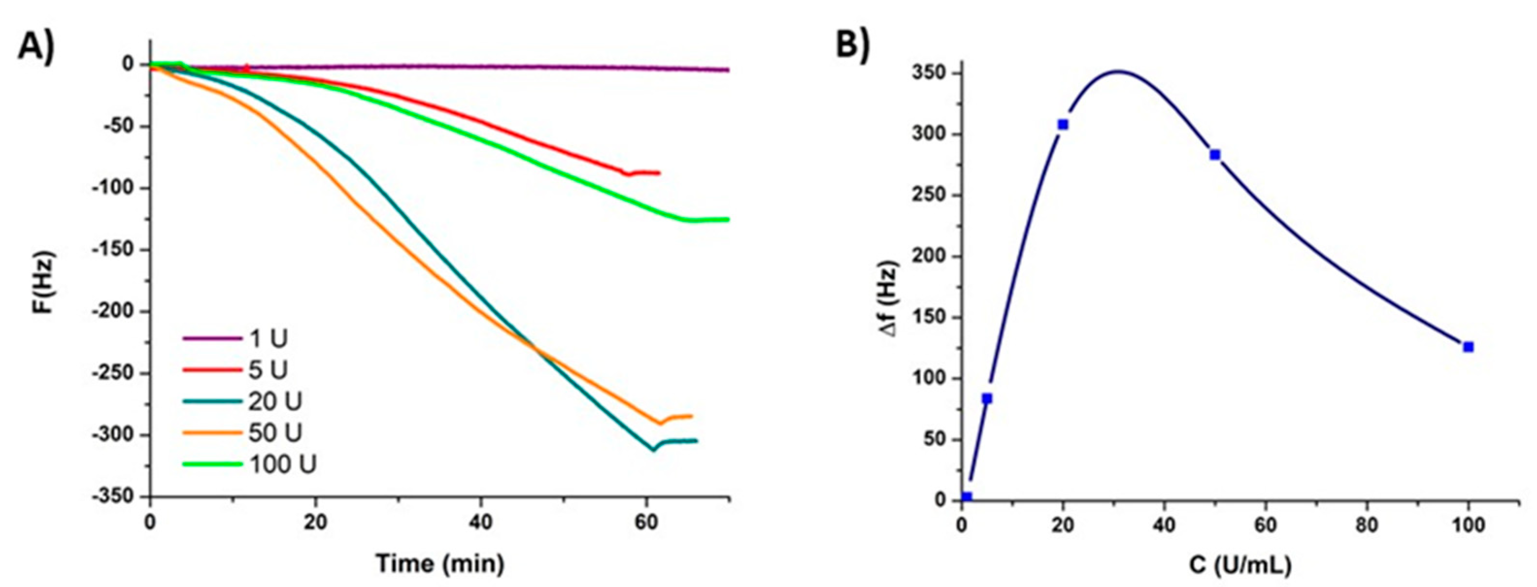 Ijms 21 04873 g003 Ijms 21 04873 g003