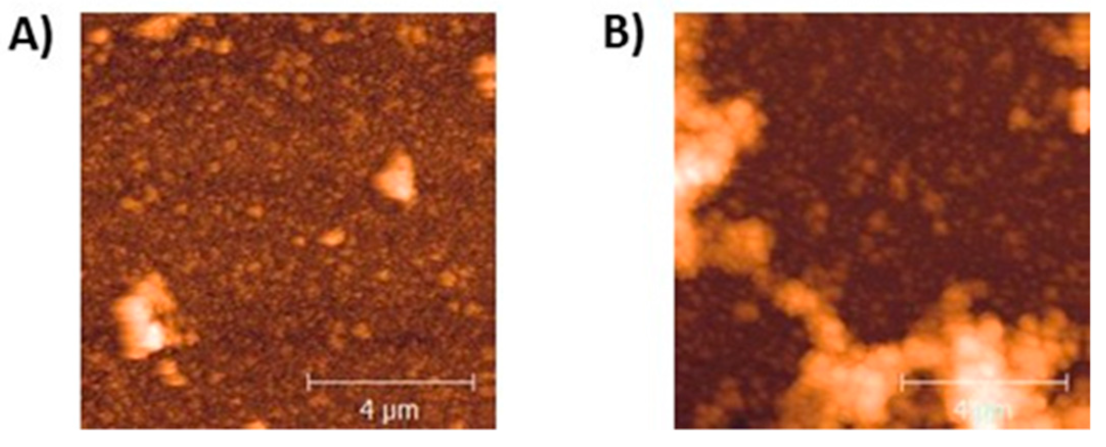 Ijms 21 04873 g004 Ijms 21 04873 g004