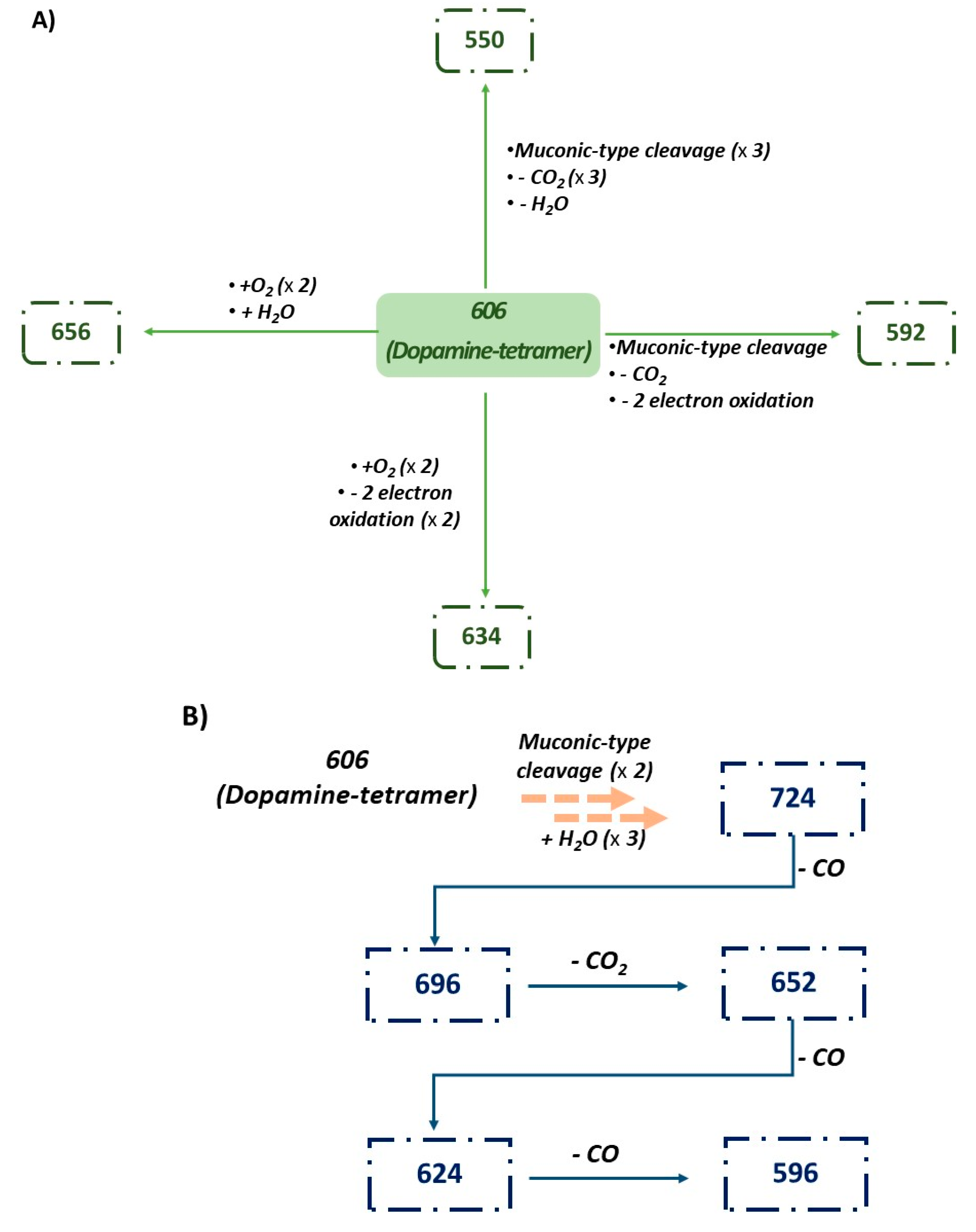 Ijms 21 04873 g007 Ijms 21 04873 g007