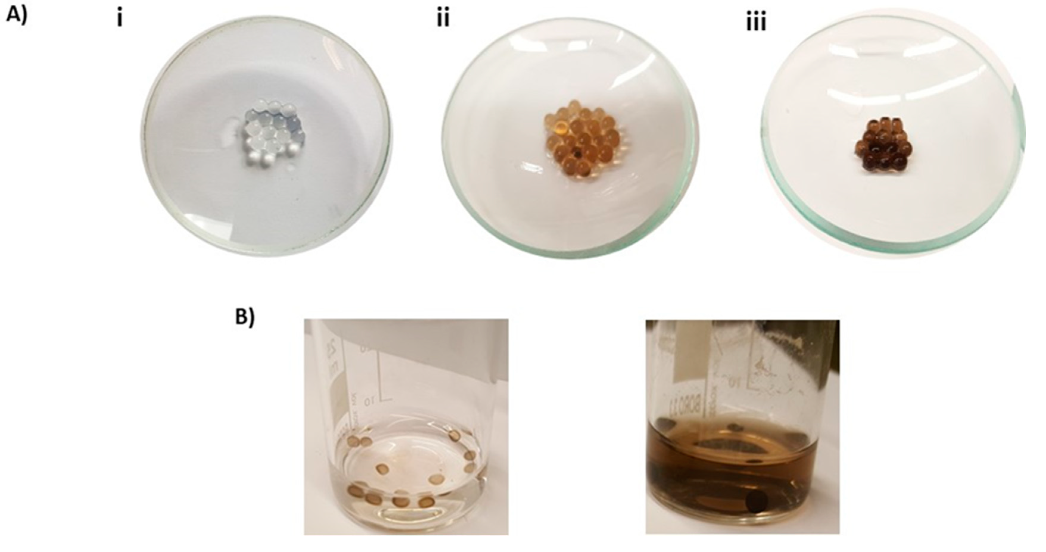 Ijms 21 04873 g010 Ijms 21 04873 g010