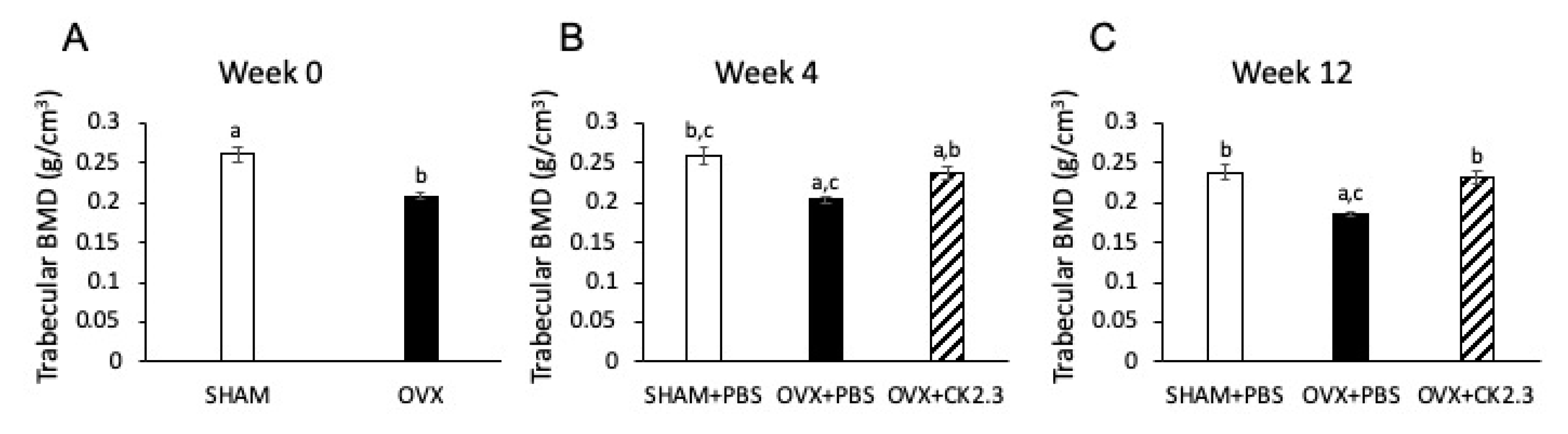 Ijms 21 04874 g002 Ijms 21 04874 g002