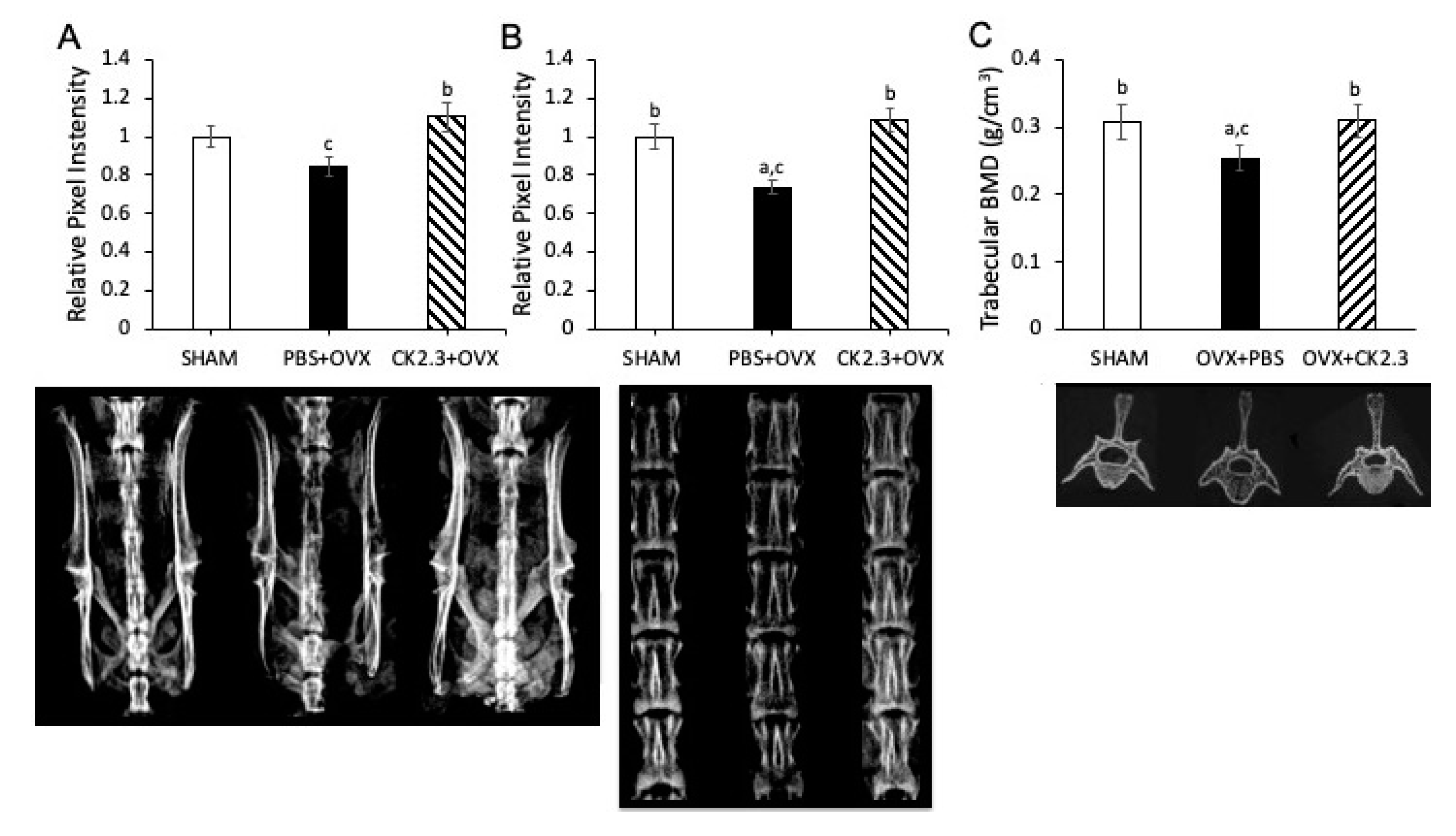 Ijms 21 04874 g003 Ijms 21 04874 g003