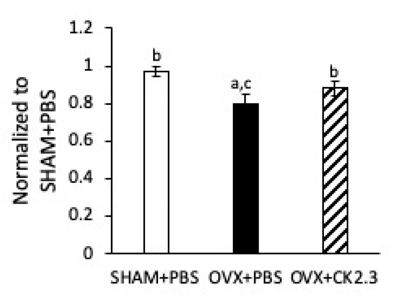 Ijms 21 04874 g004 Ijms 21 04874 g004