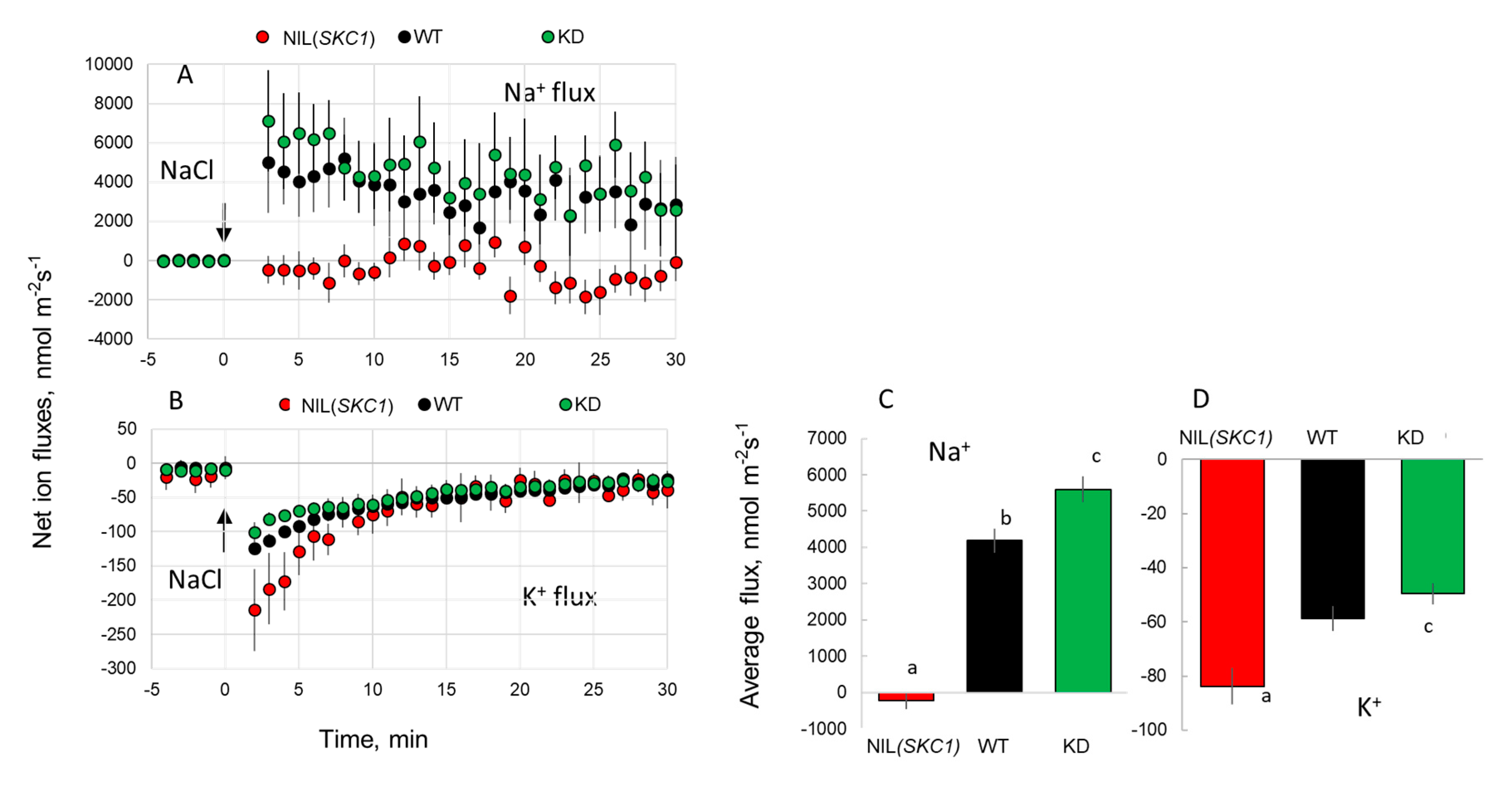 Ijms 21 04882 g004 Ijms 21 04882 g004