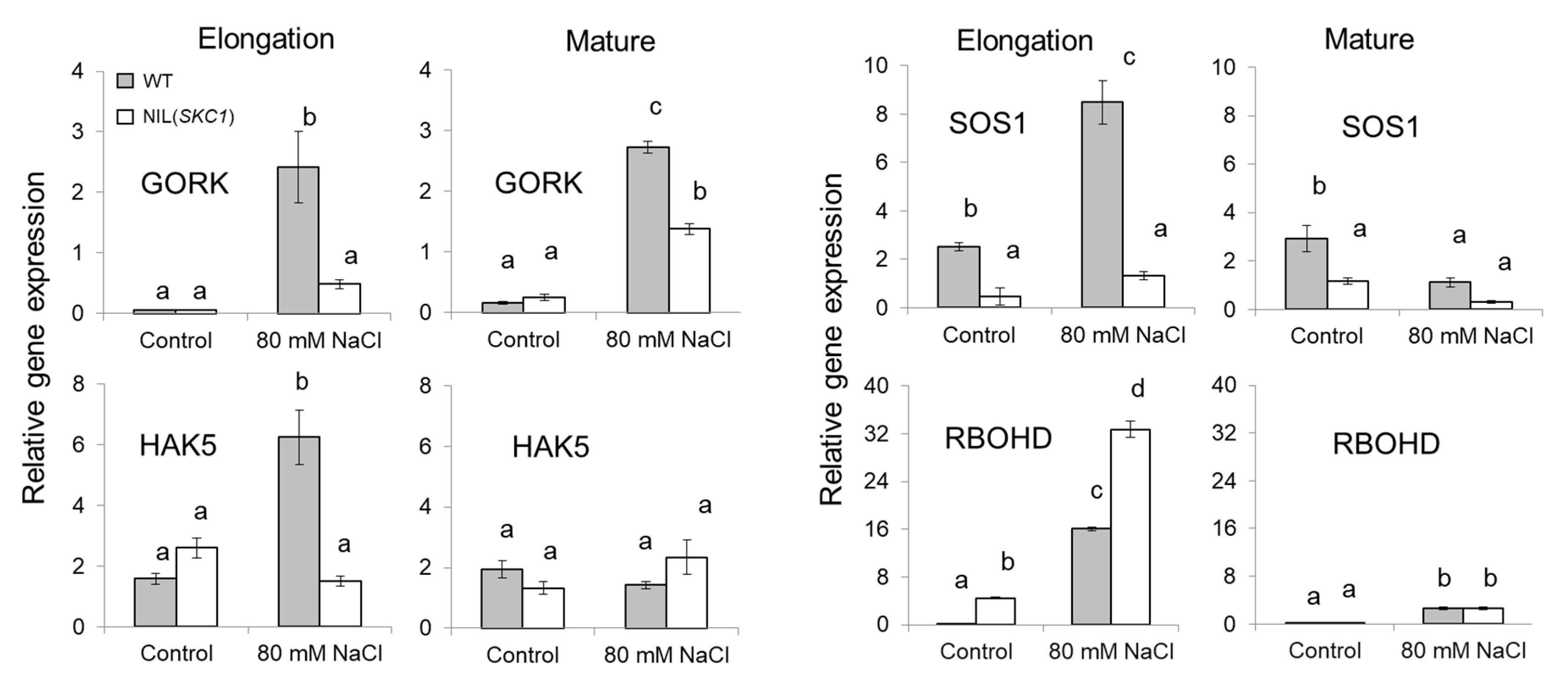 Ijms 21 04882 g005 Ijms 21 04882 g005