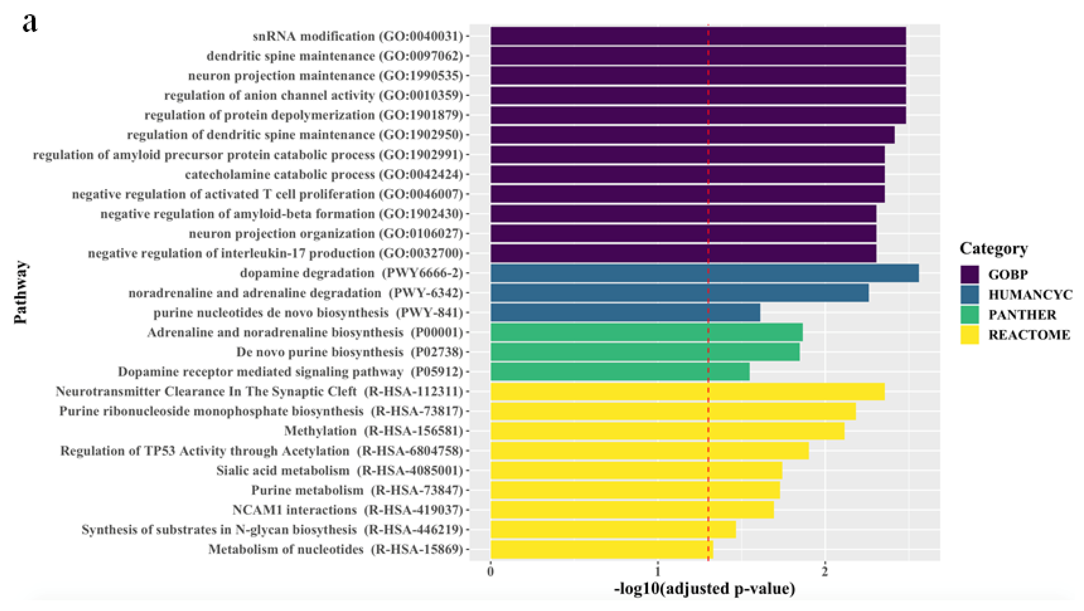 Ijms 21 04884 g001a Ijms 21 04884 g001a