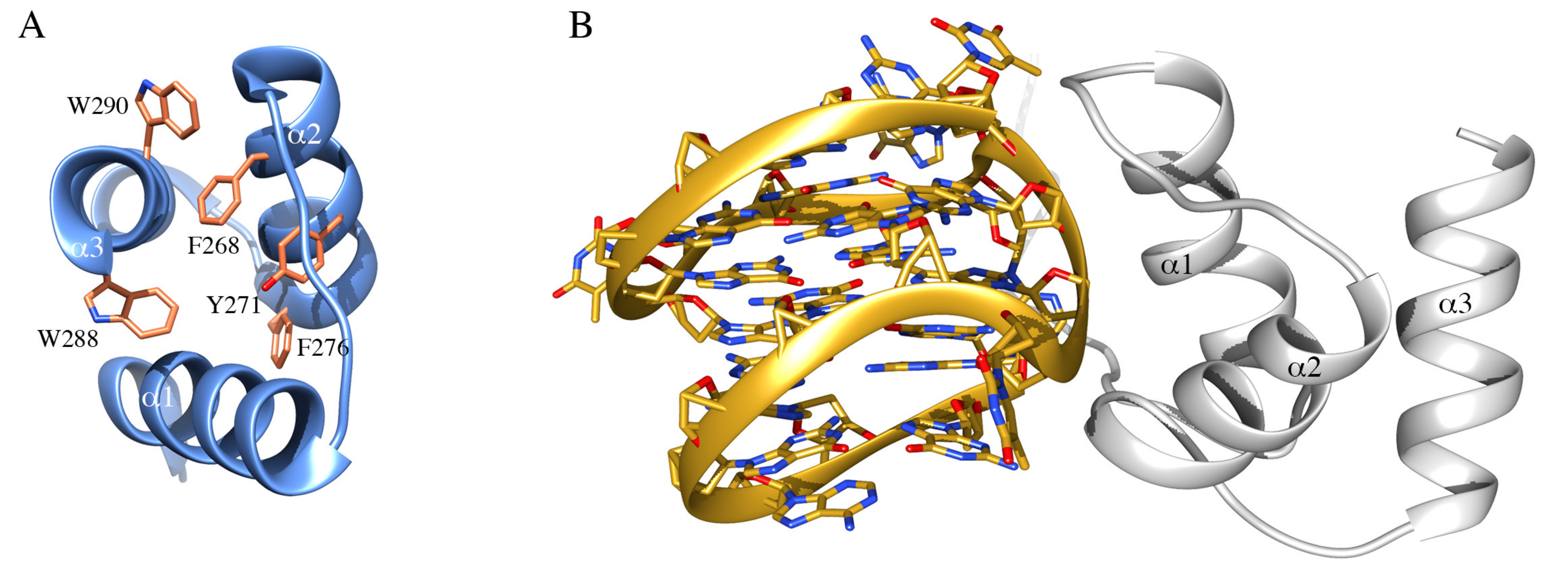 Ijms 21 04885 g002 Ijms 21 04885 g002