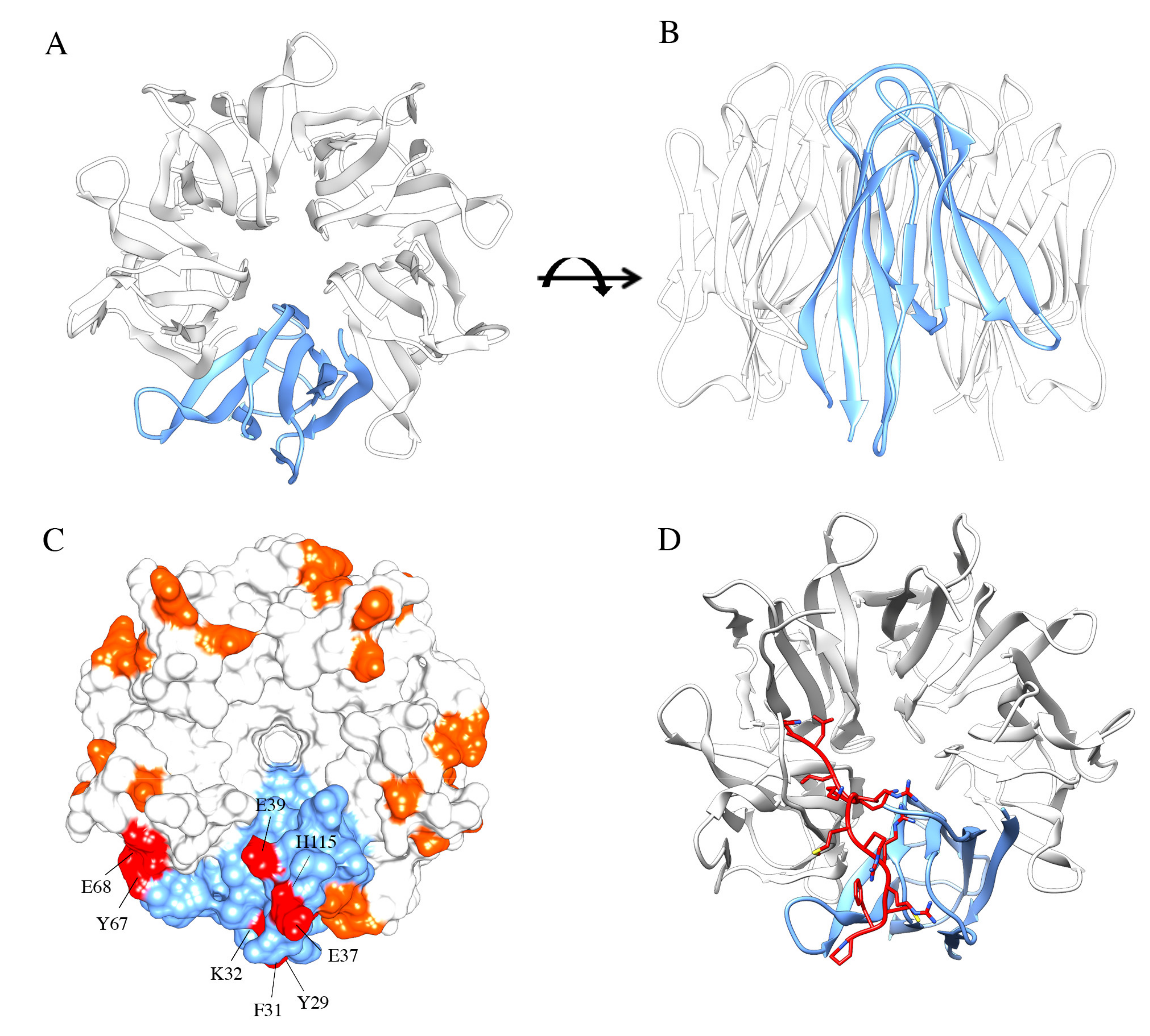 Ijms 21 04885 g003 Ijms 21 04885 g003