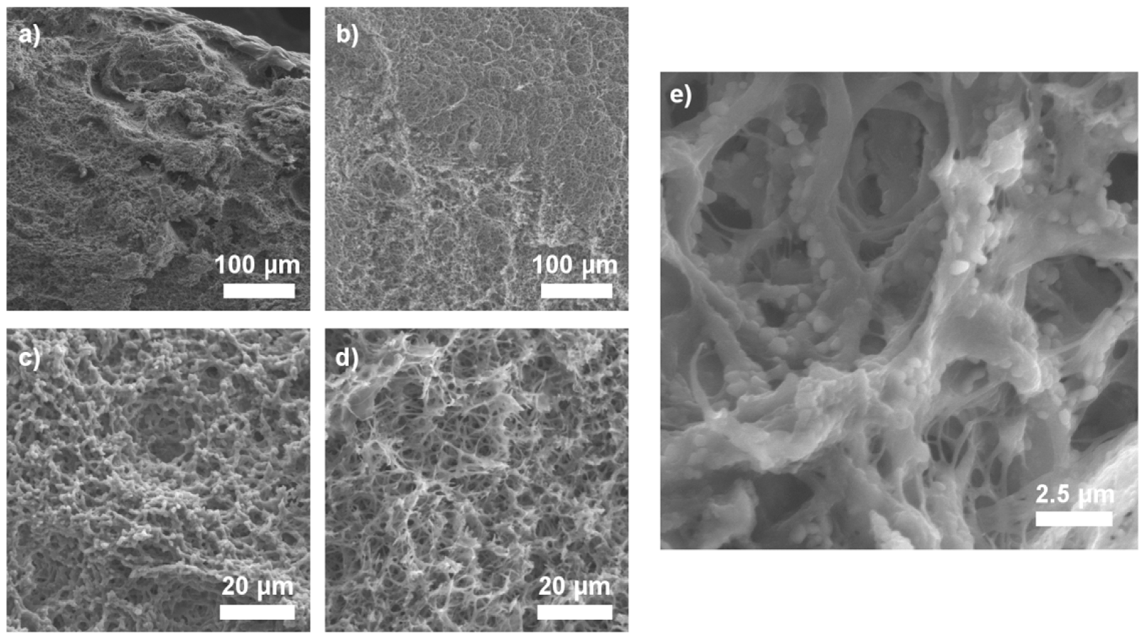 Ijms 21 04888 g005 Ijms 21 04888 g005