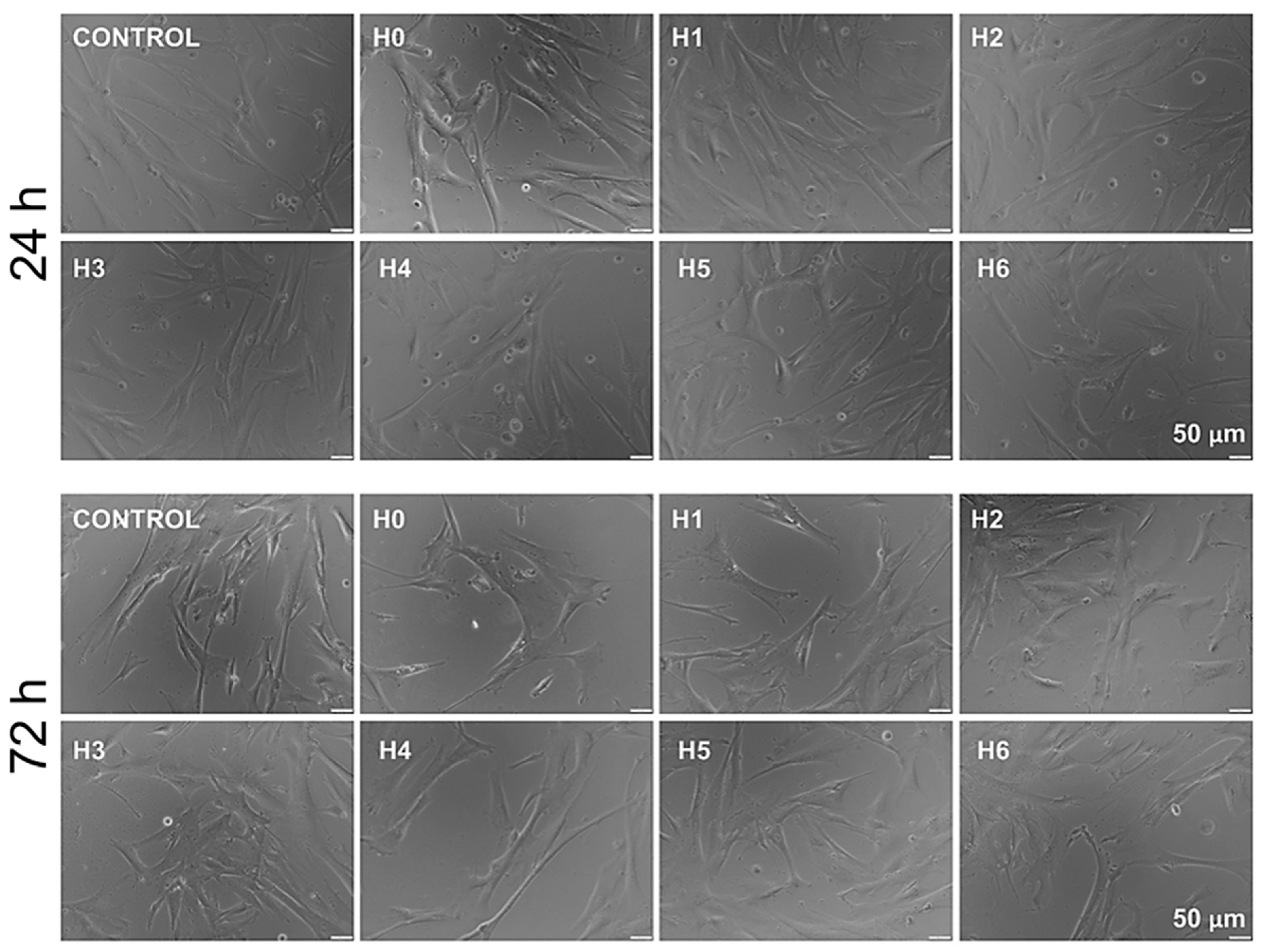 Ijms 21 04888 g013 Ijms 21 04888 g013