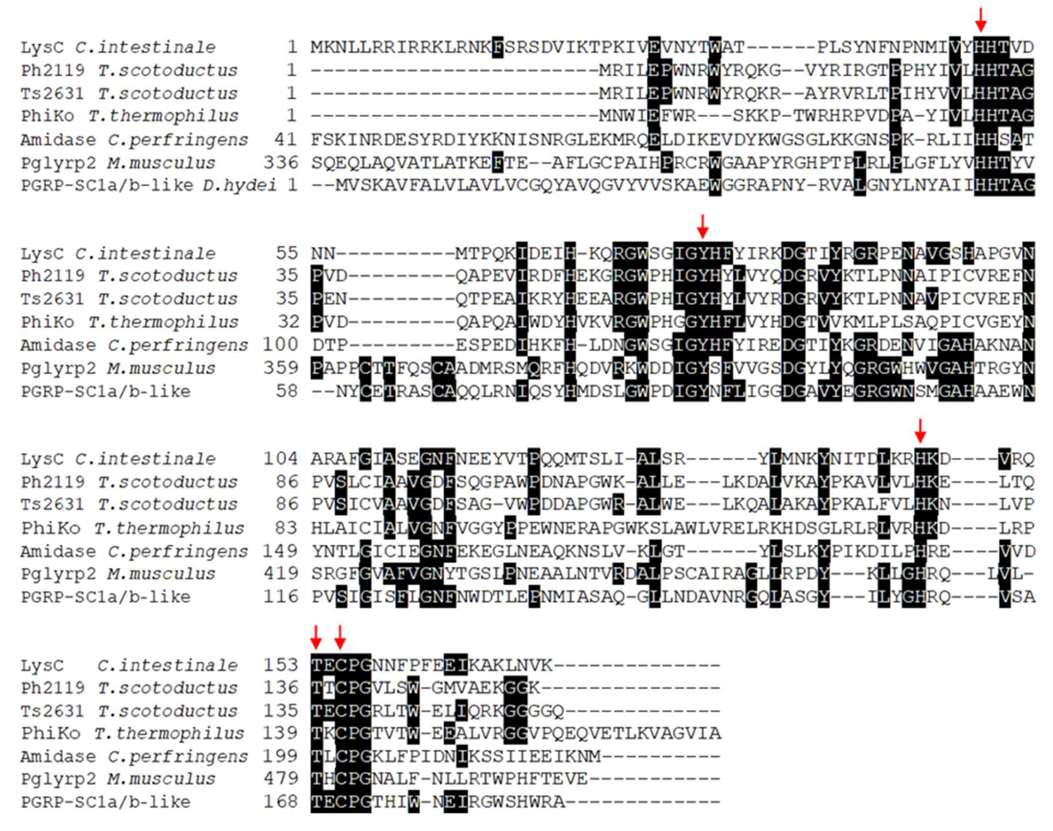 Ijms 21 04894 g001 Ijms 21 04894 g001