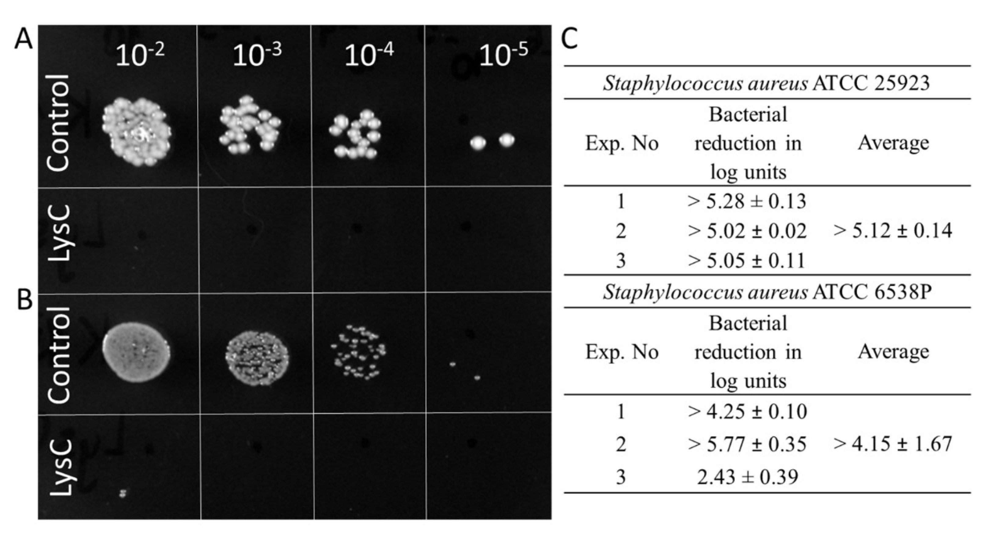 Ijms 21 04894 g003 Ijms 21 04894 g003