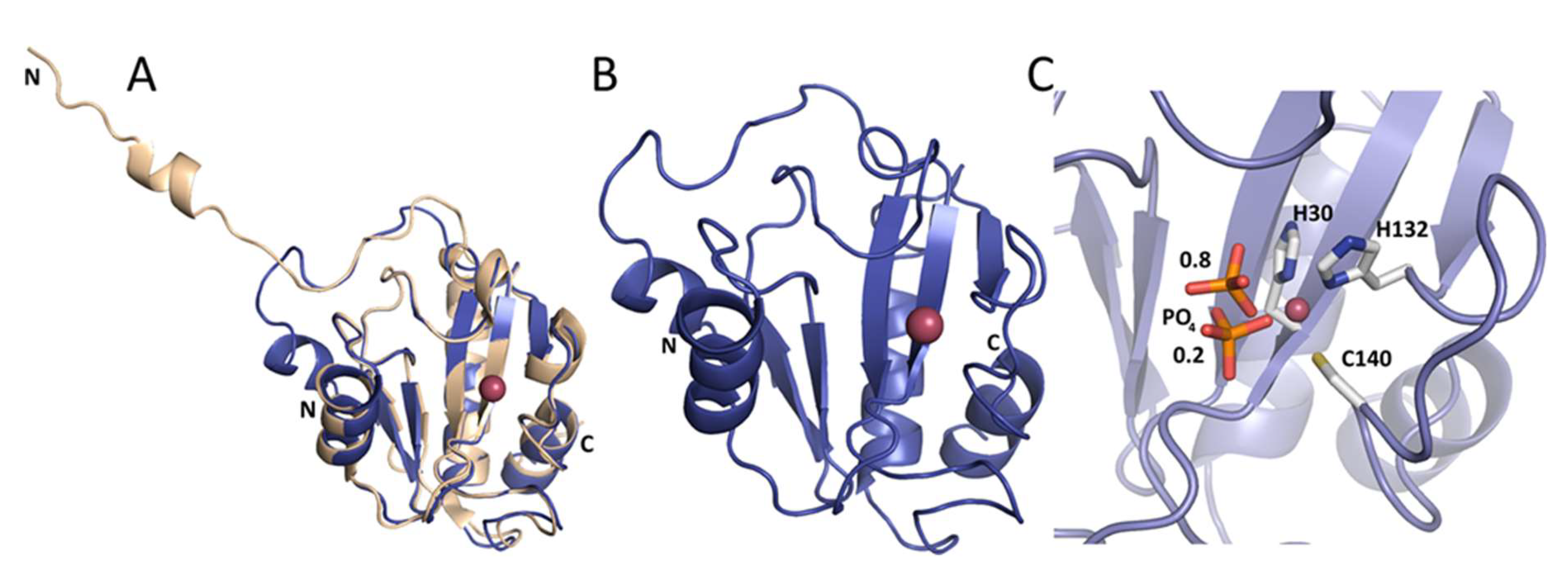 Ijms 21 04894 g005 Ijms 21 04894 g005