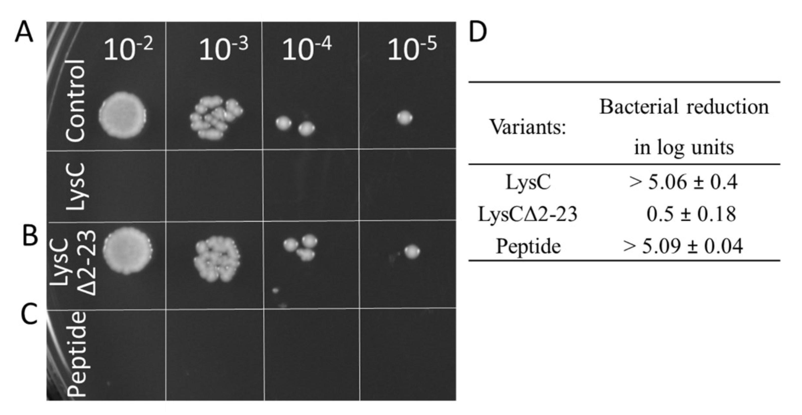 Ijms 21 04894 g008 Ijms 21 04894 g008