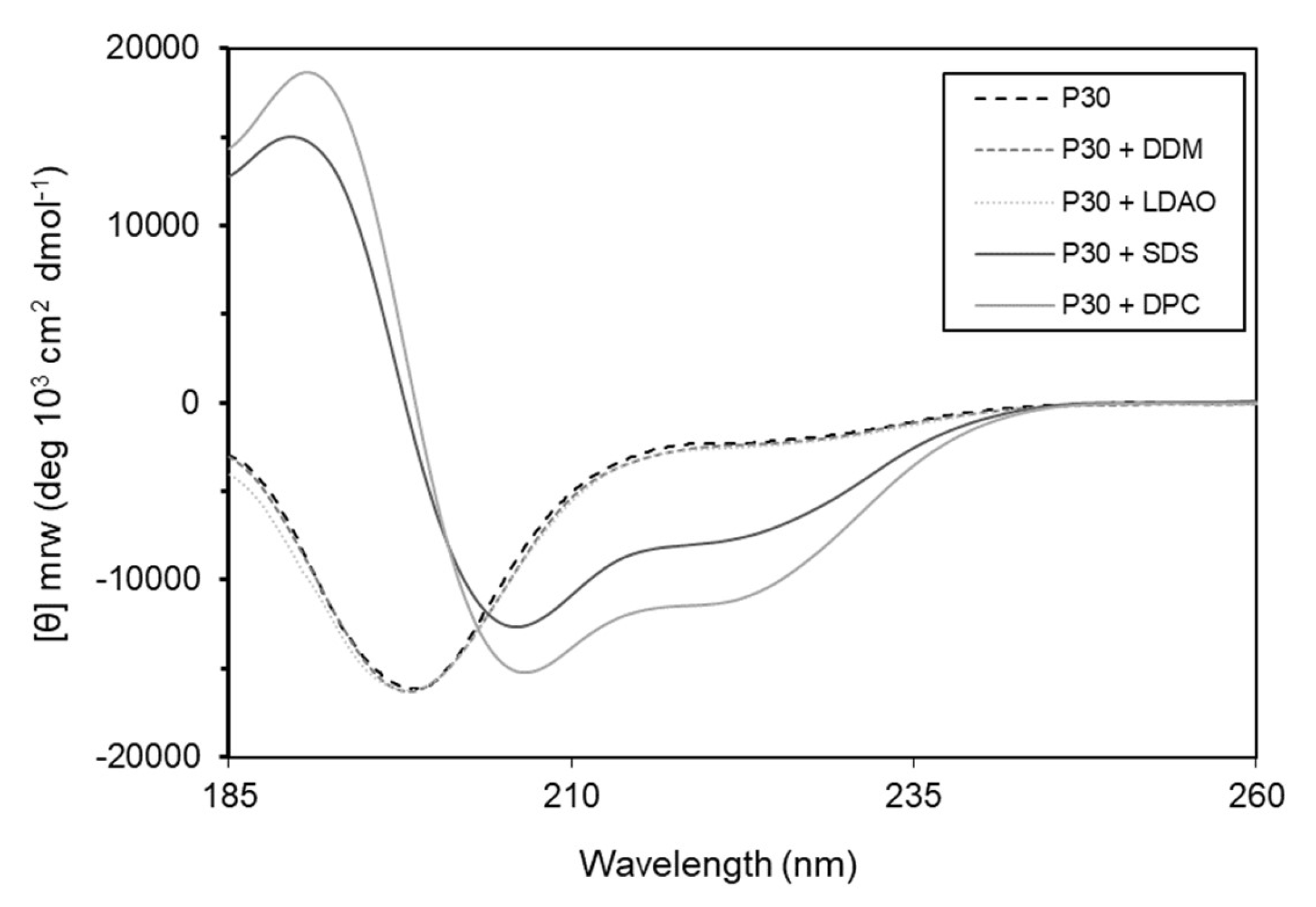 Ijms 21 04894 g009 Ijms 21 04894 g009