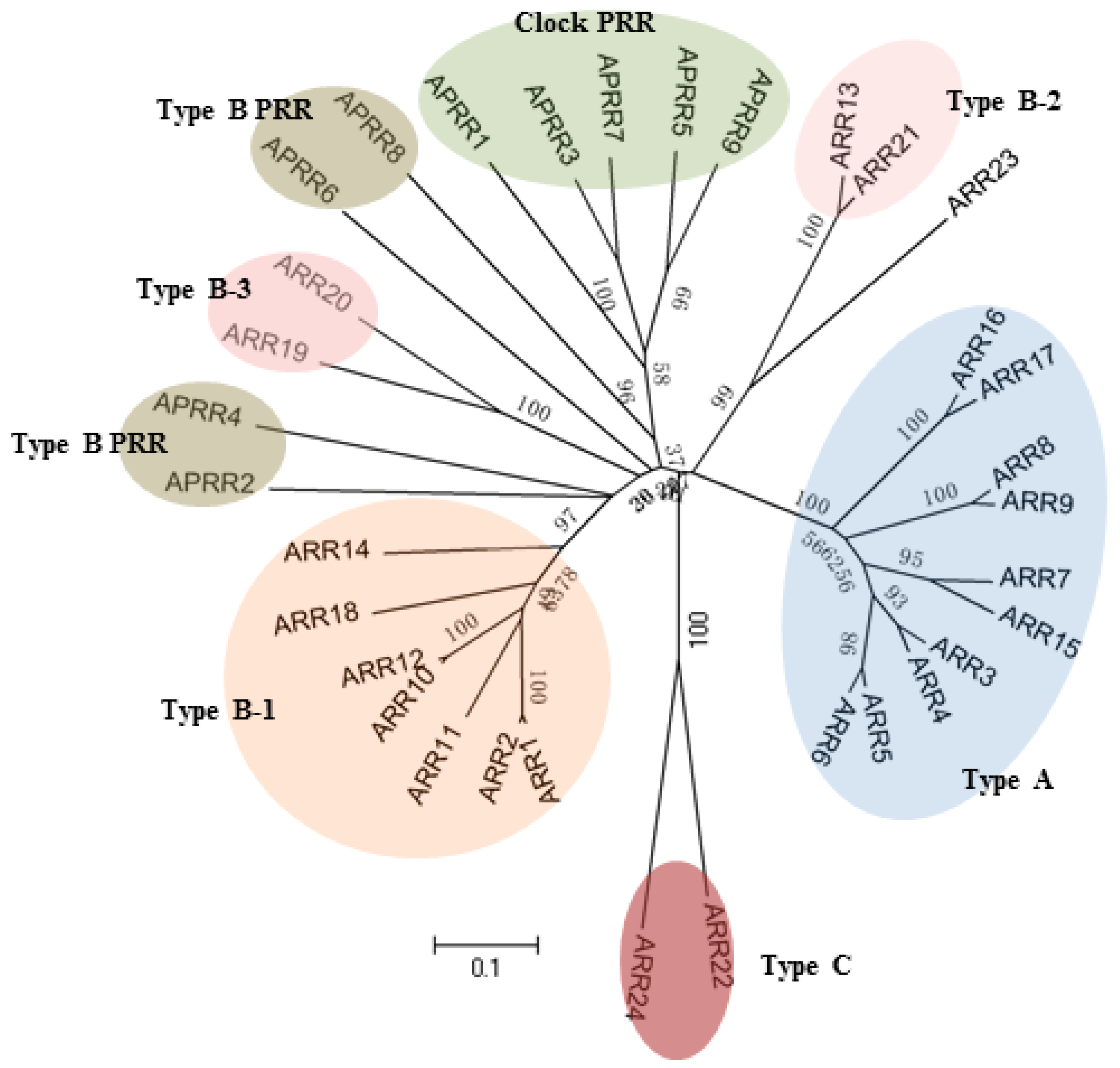 Ijms 21 04898 g005 Ijms 21 04898 g005