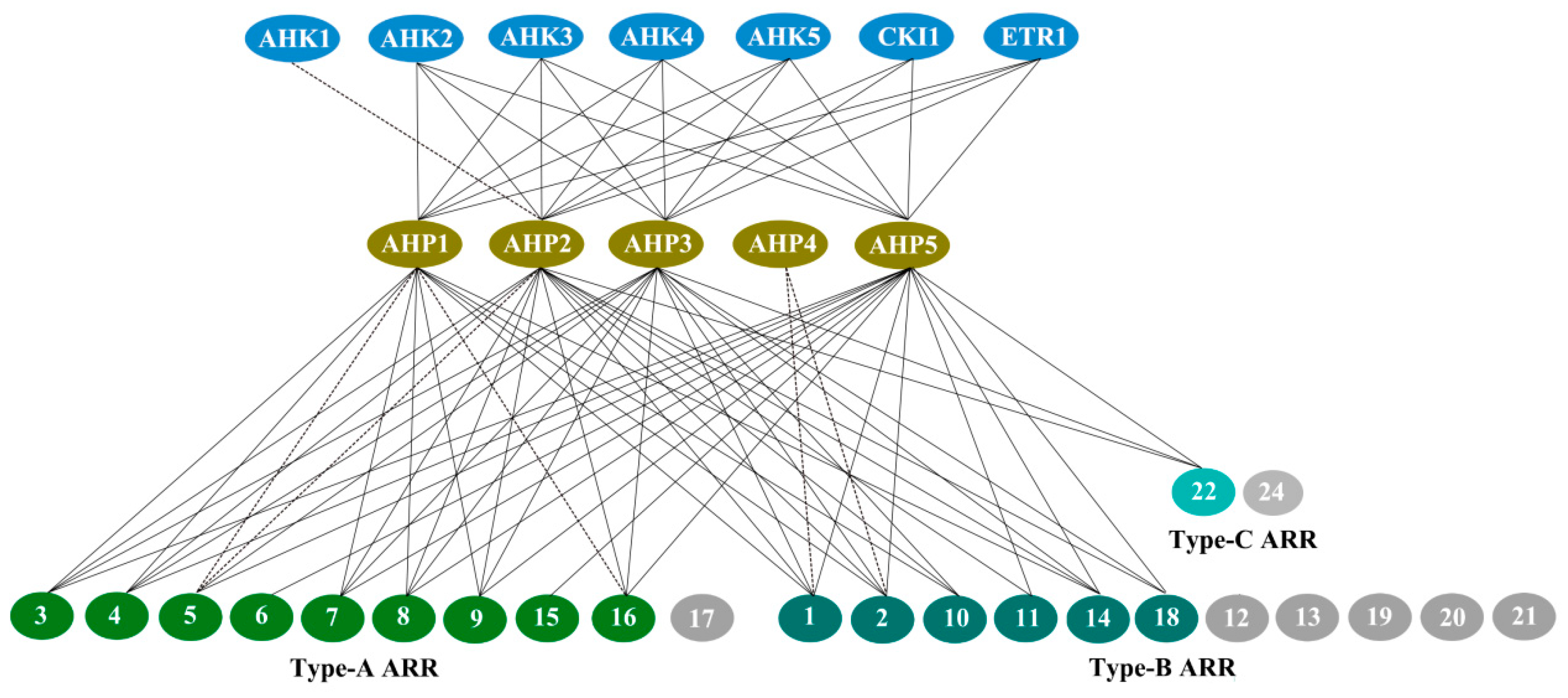Ijms 21 04898 g007 Ijms 21 04898 g007