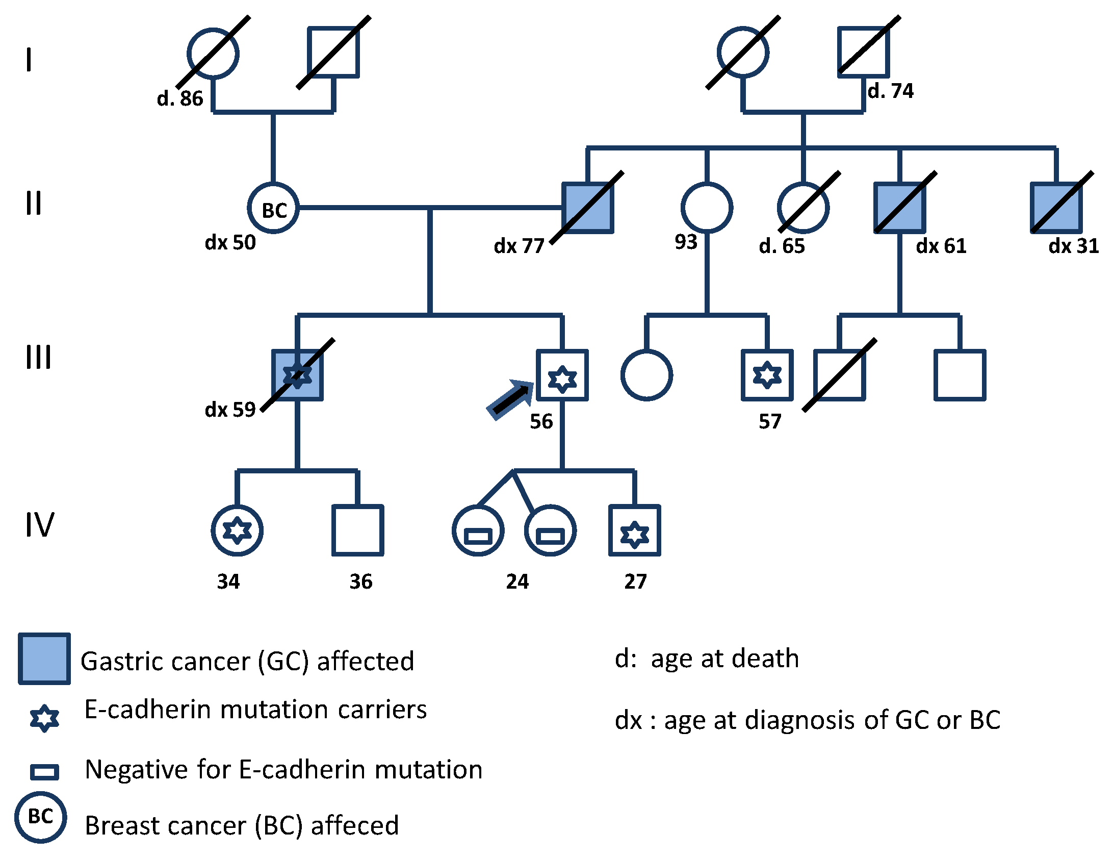 Ijms 21 04904 g001 Ijms 21 04904 g001